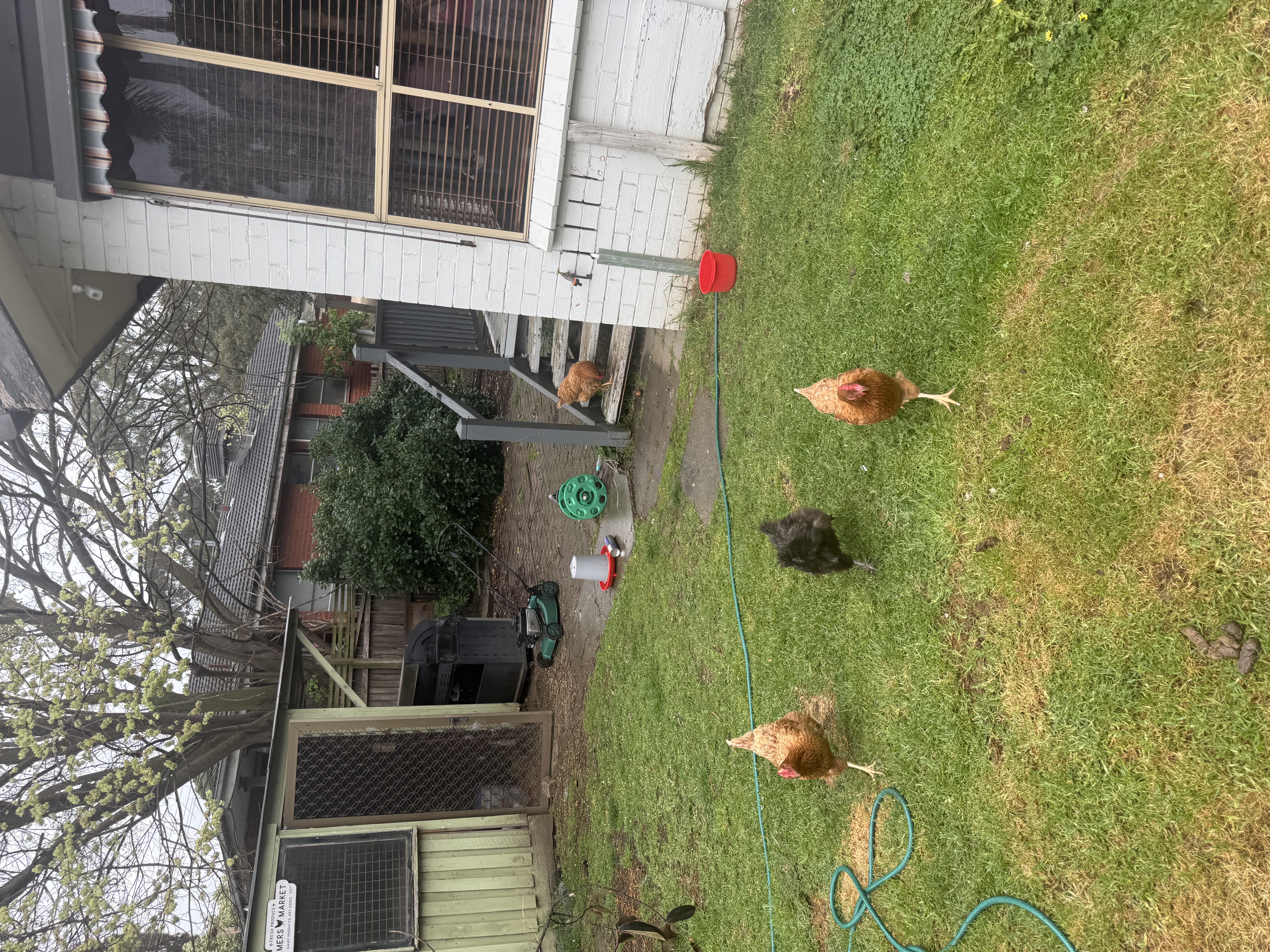 image-16
