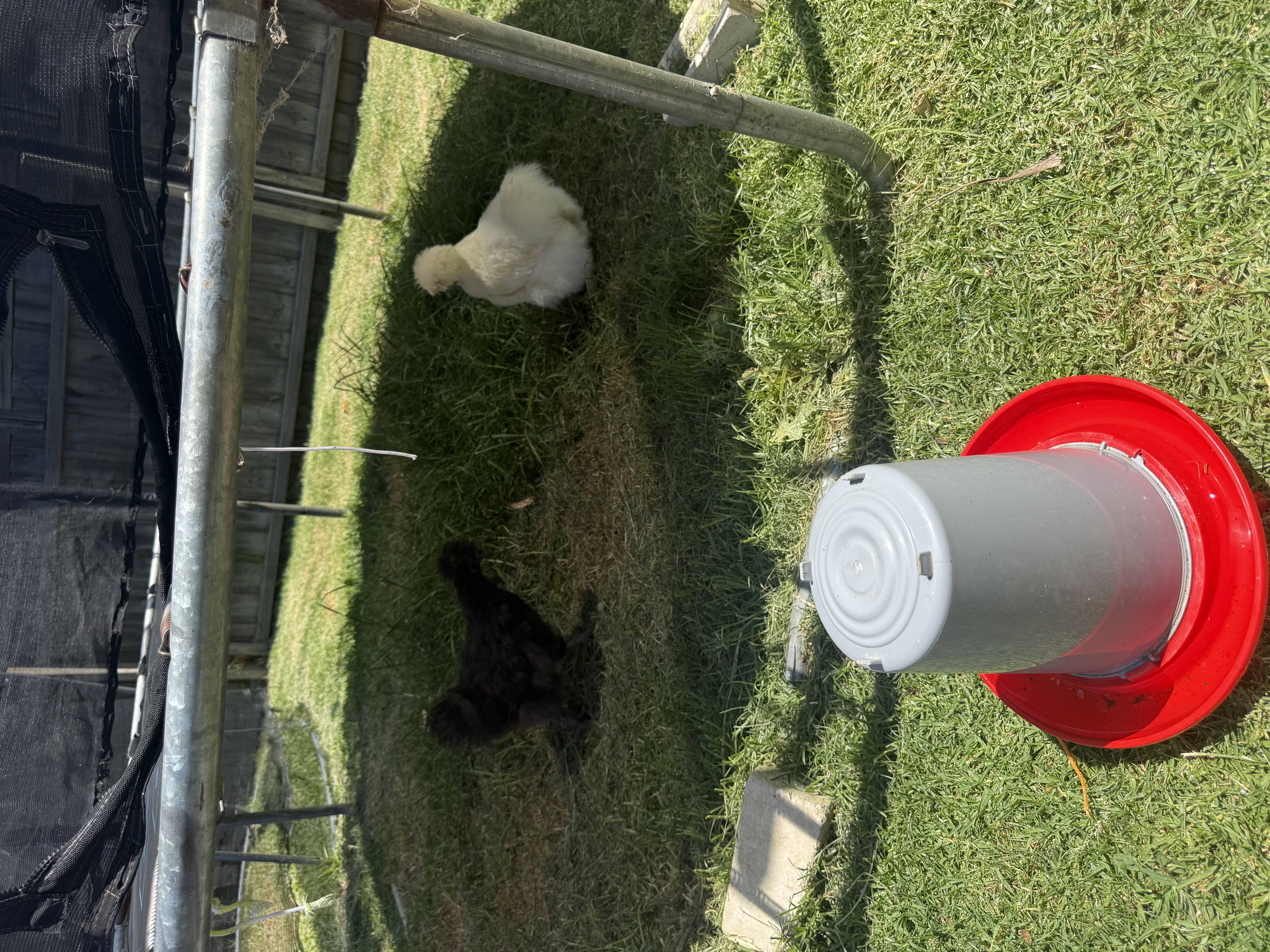 image-6