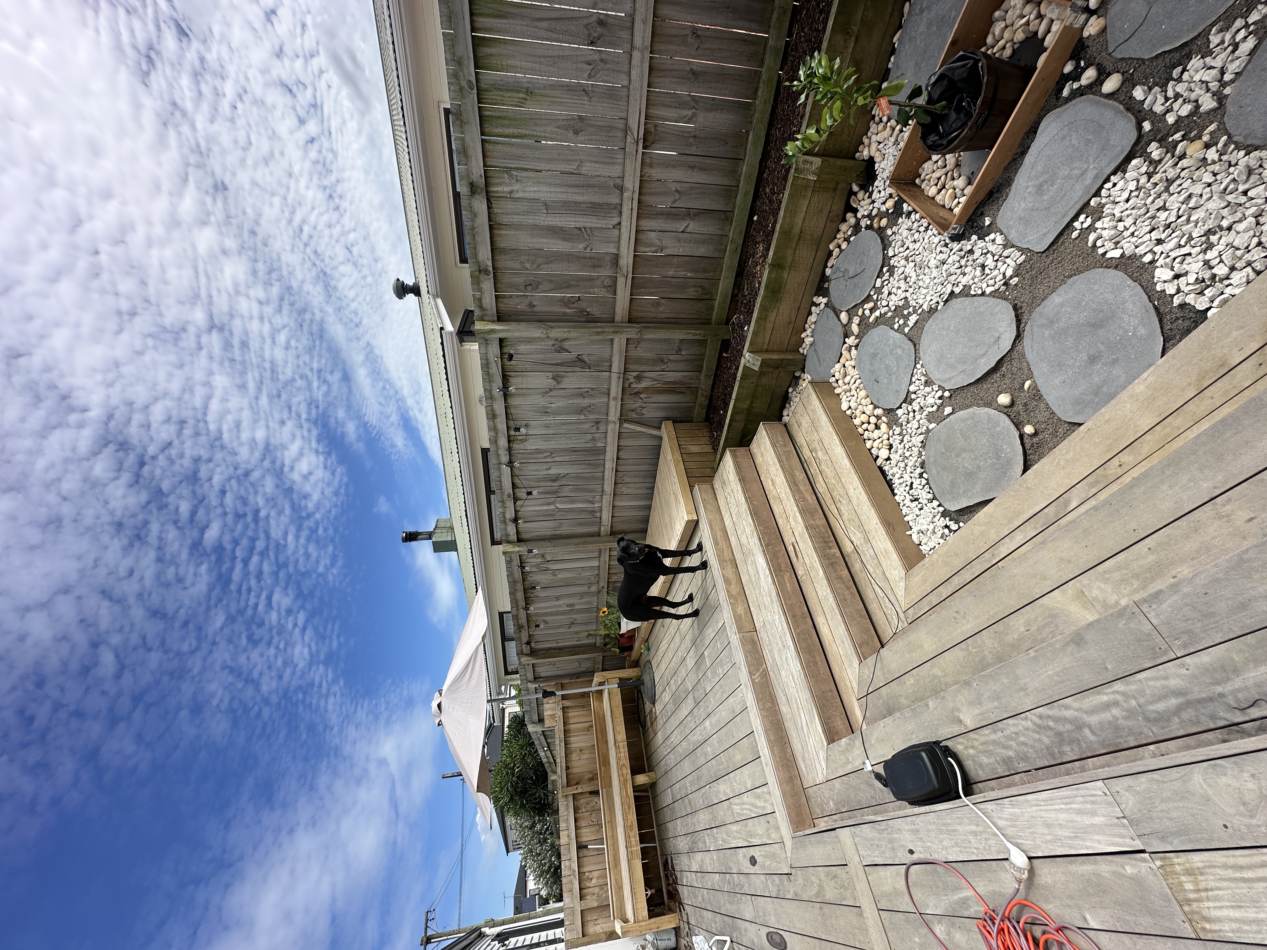 image-20