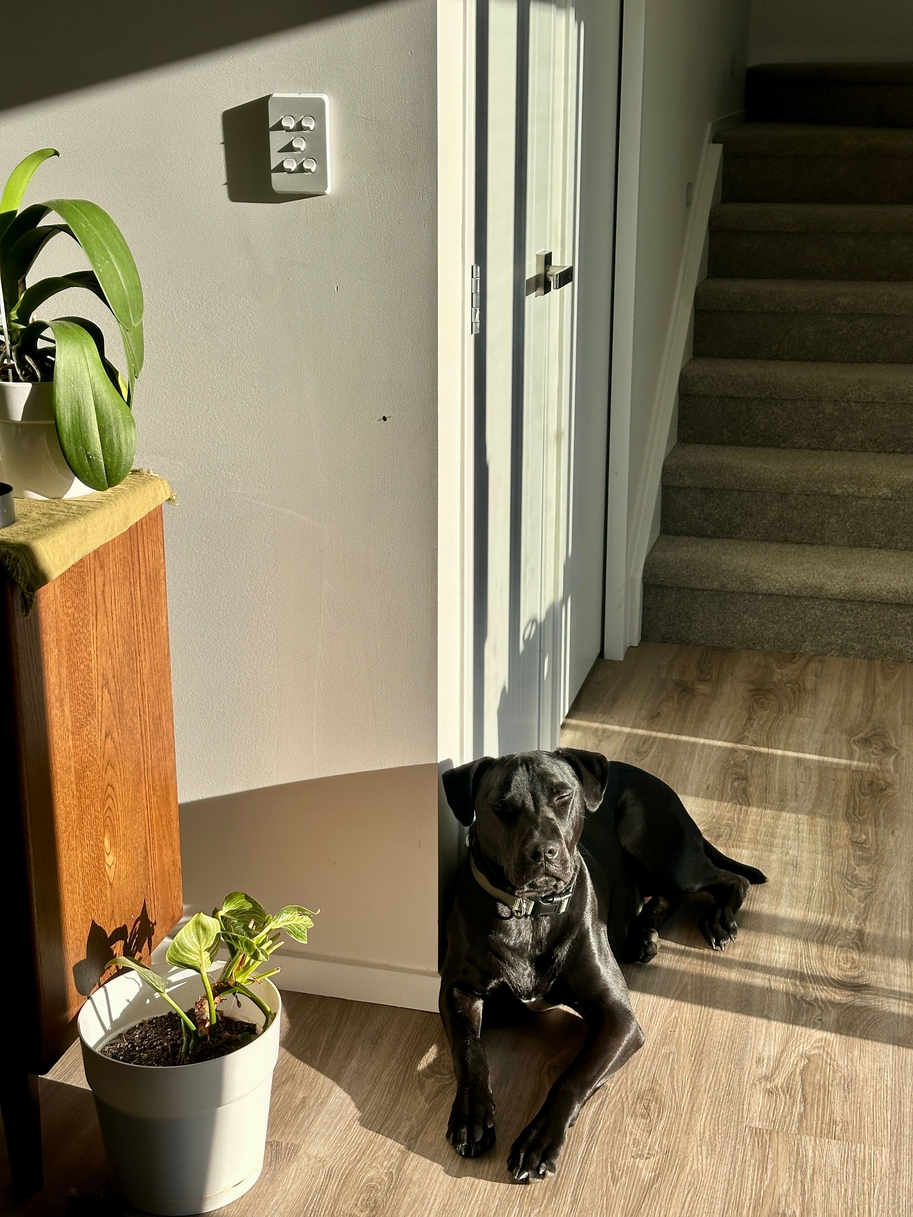 image-14