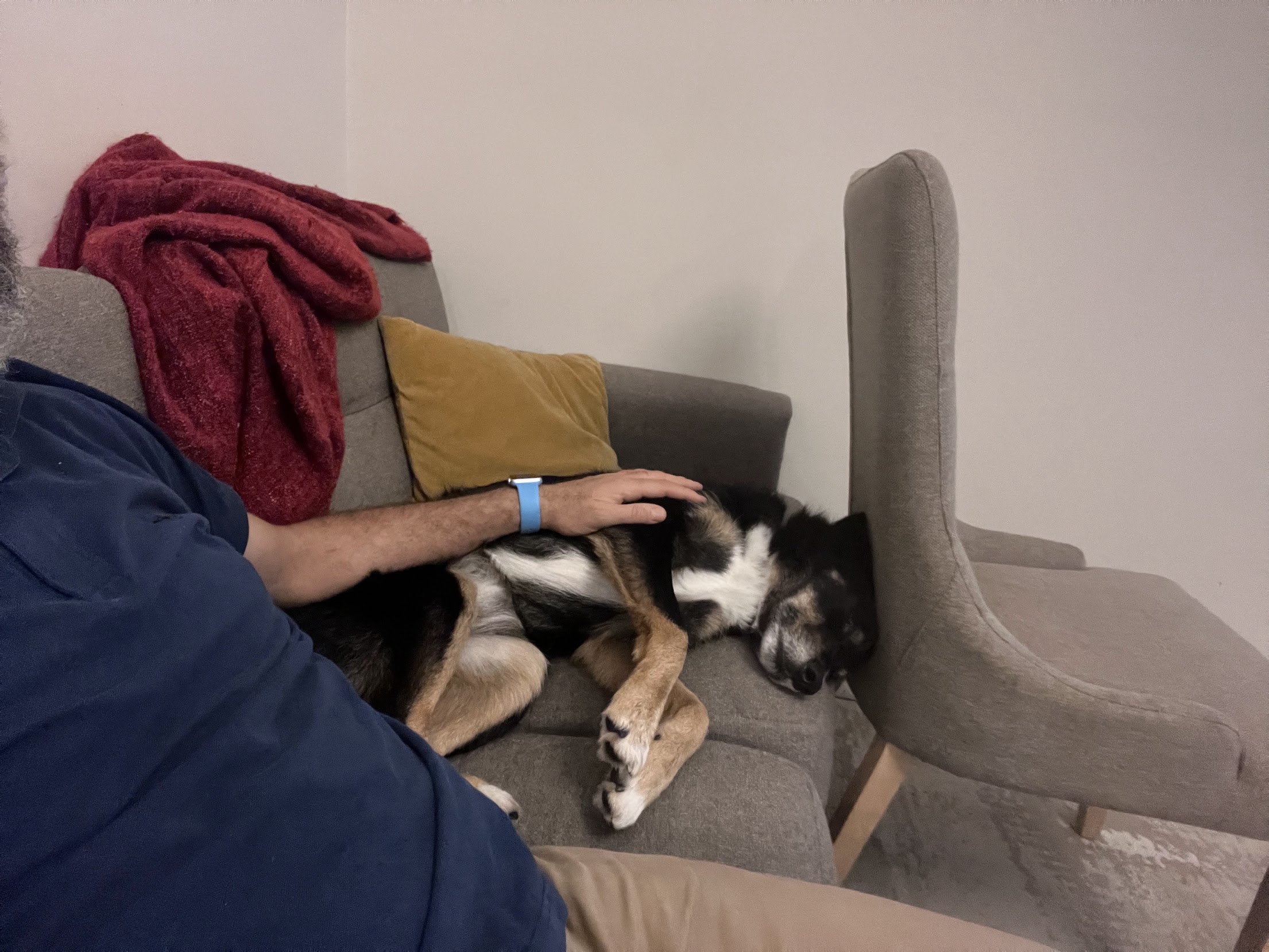 image-6
