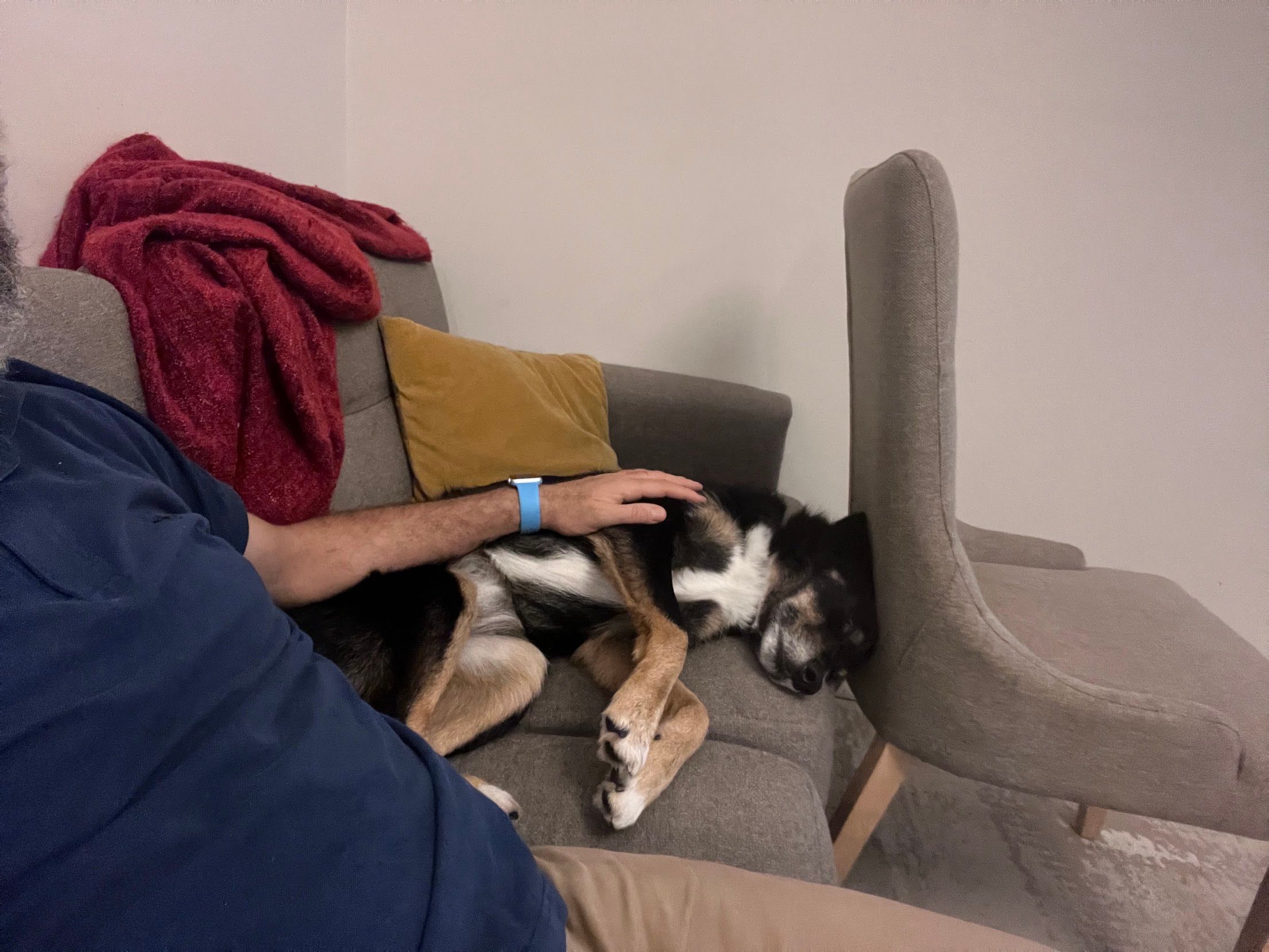 image-6