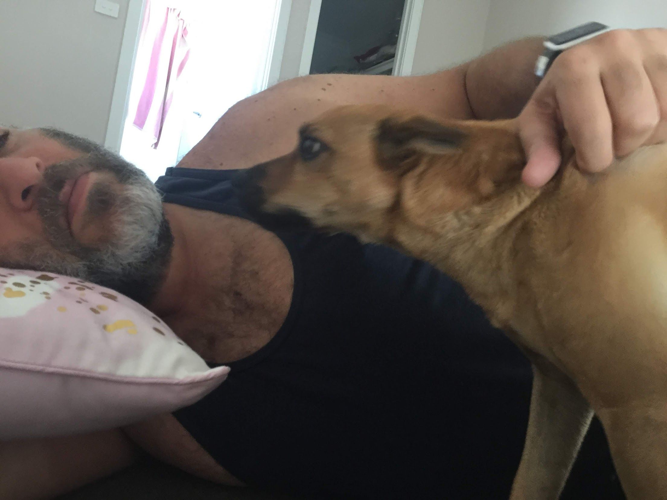 image-11