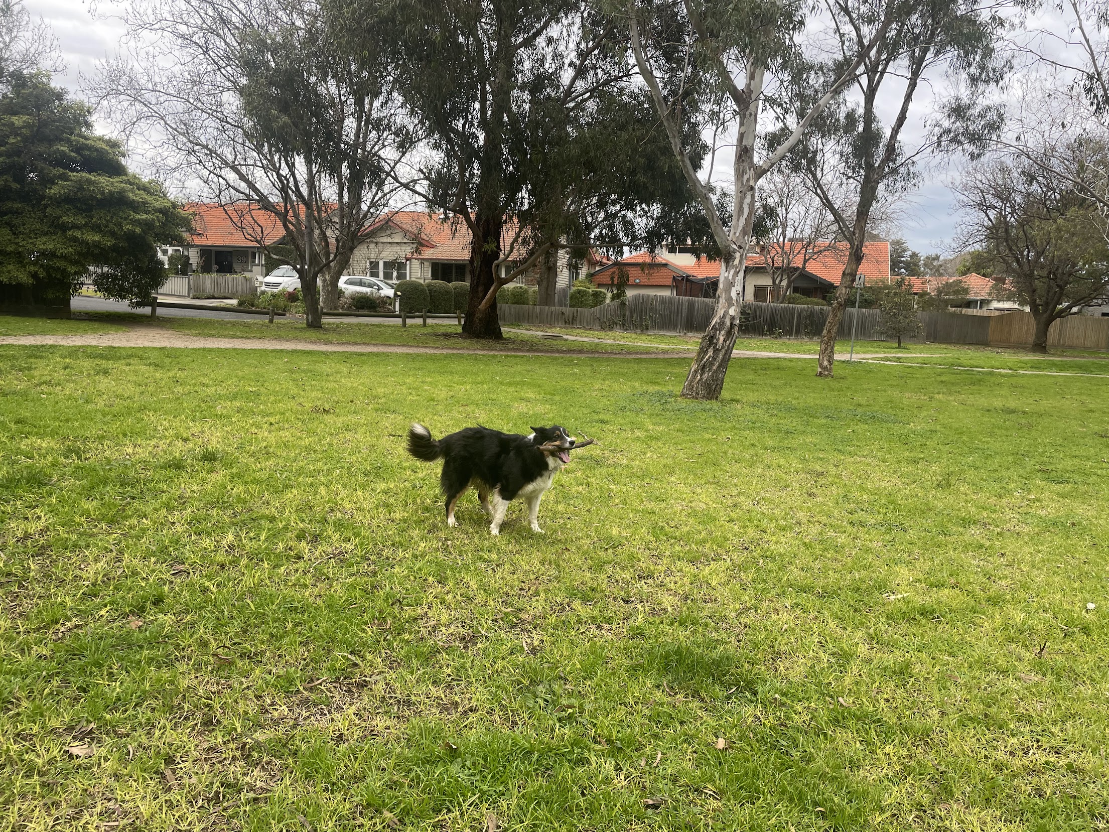 image-3