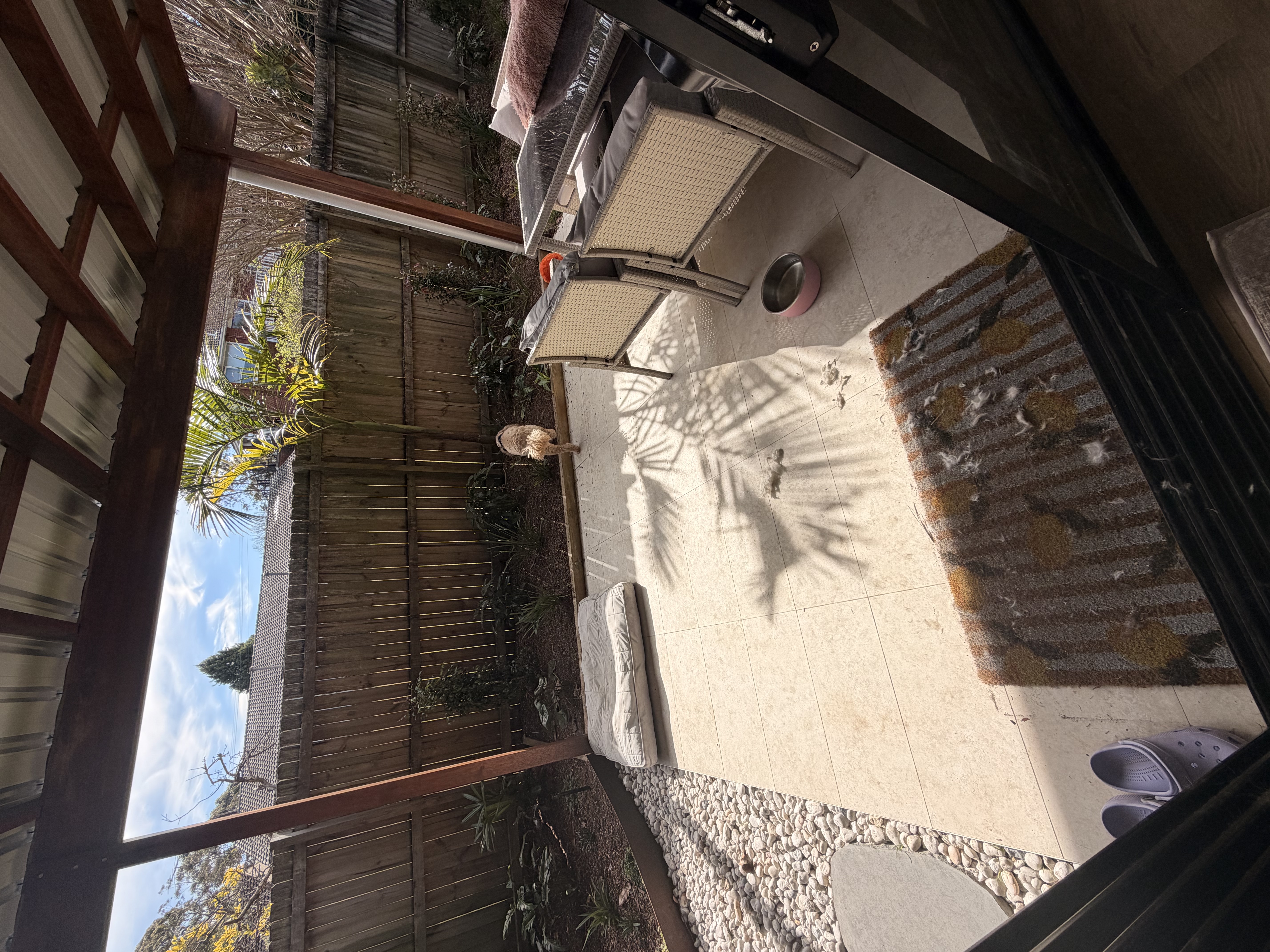 image-14