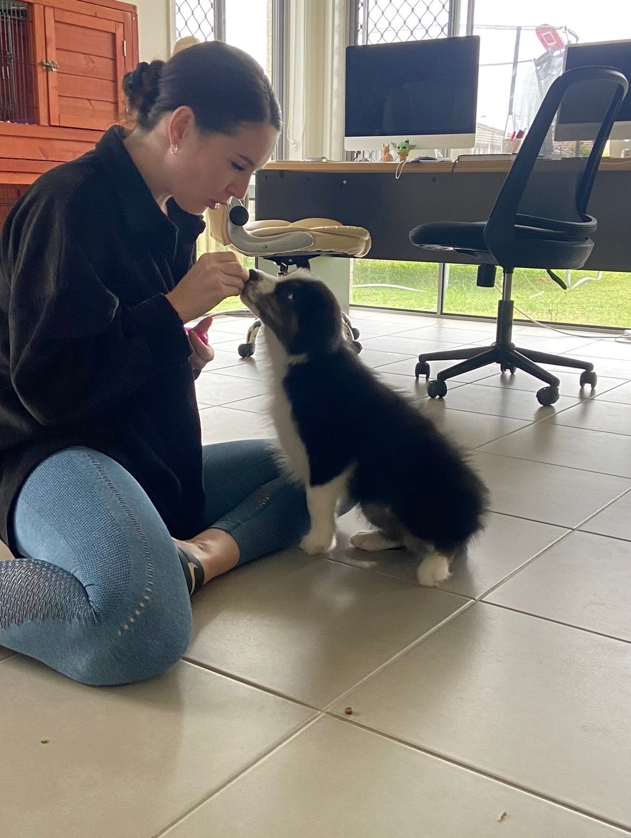 image-7