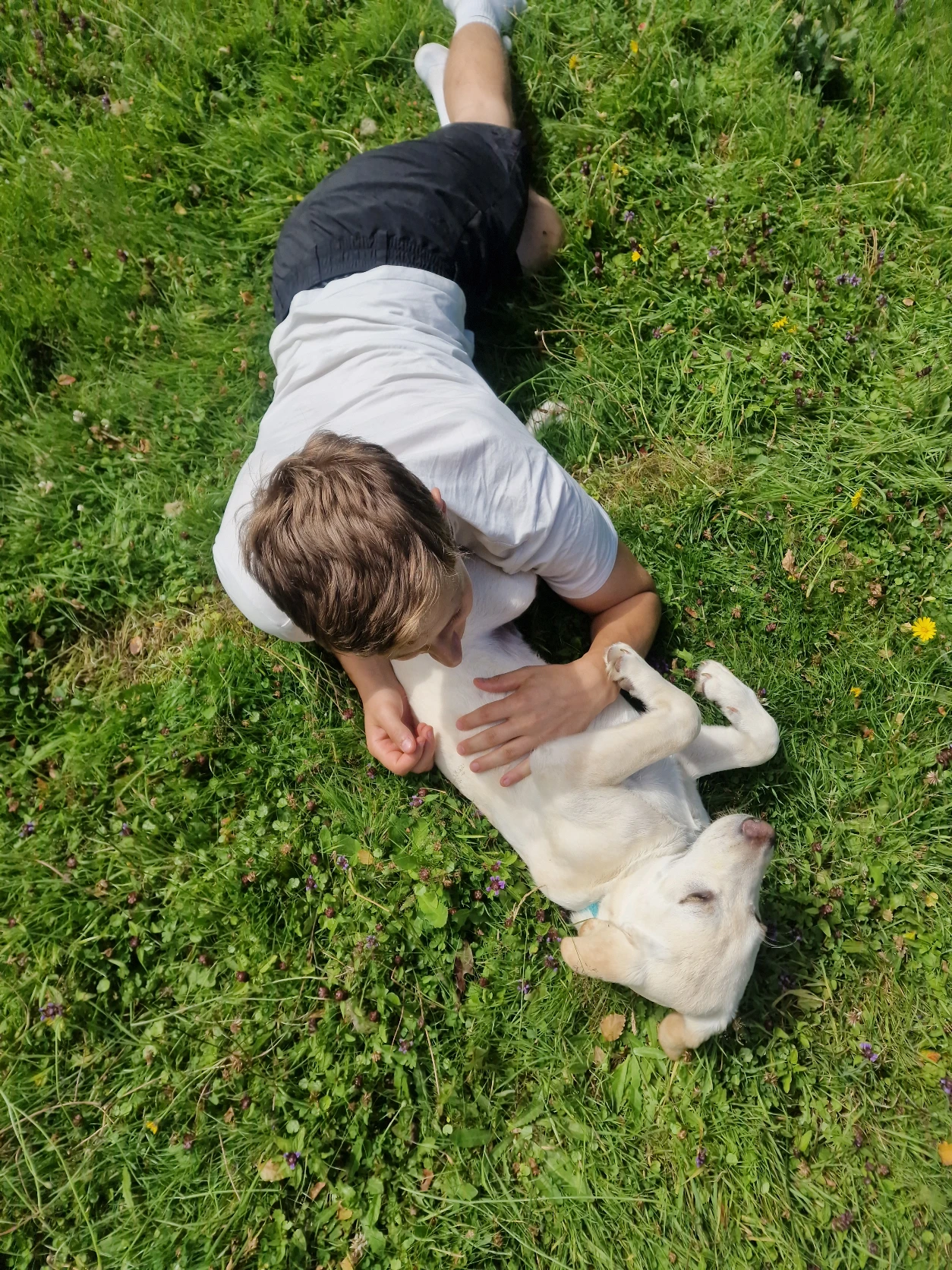 image-7