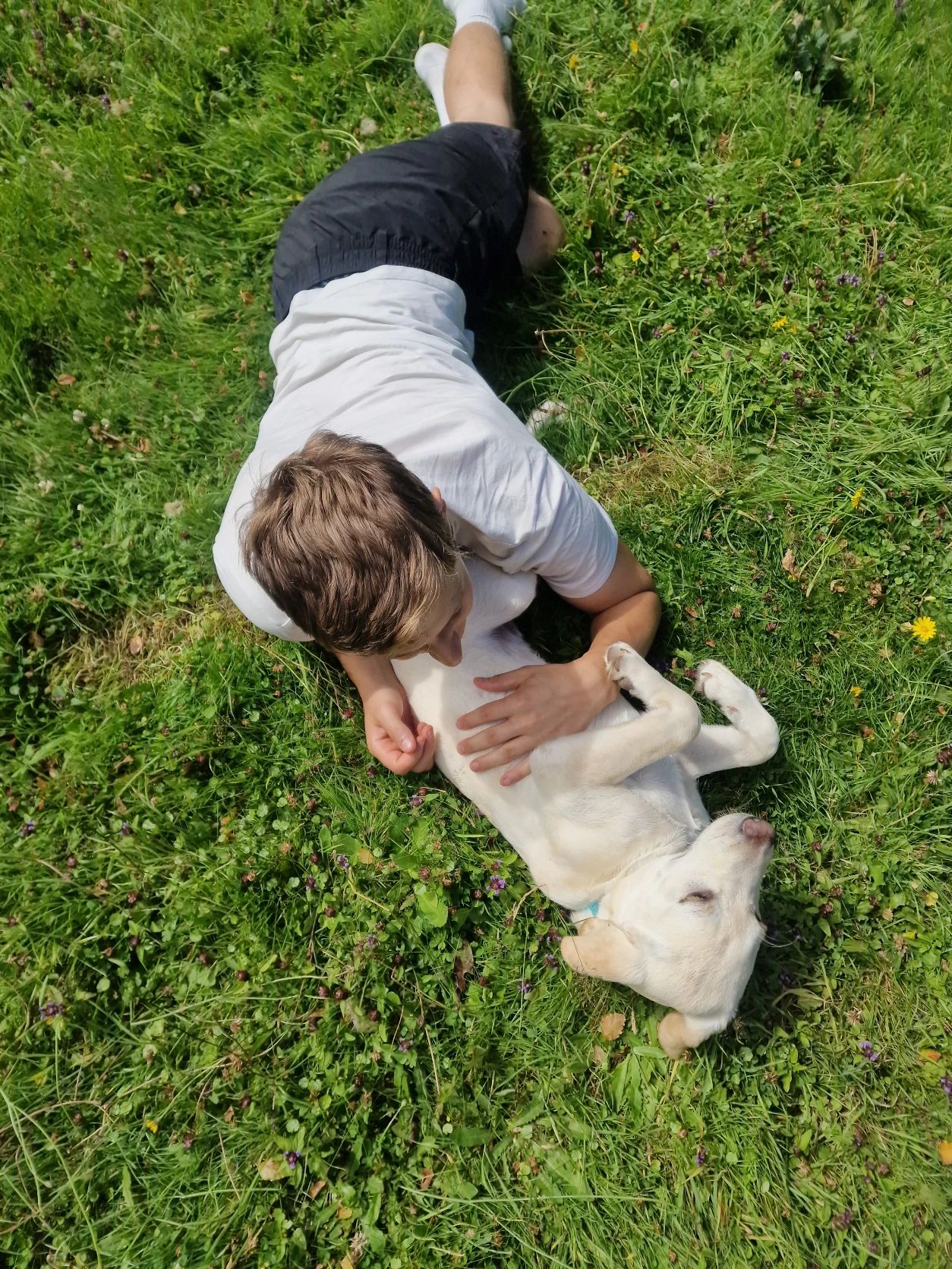 image-7