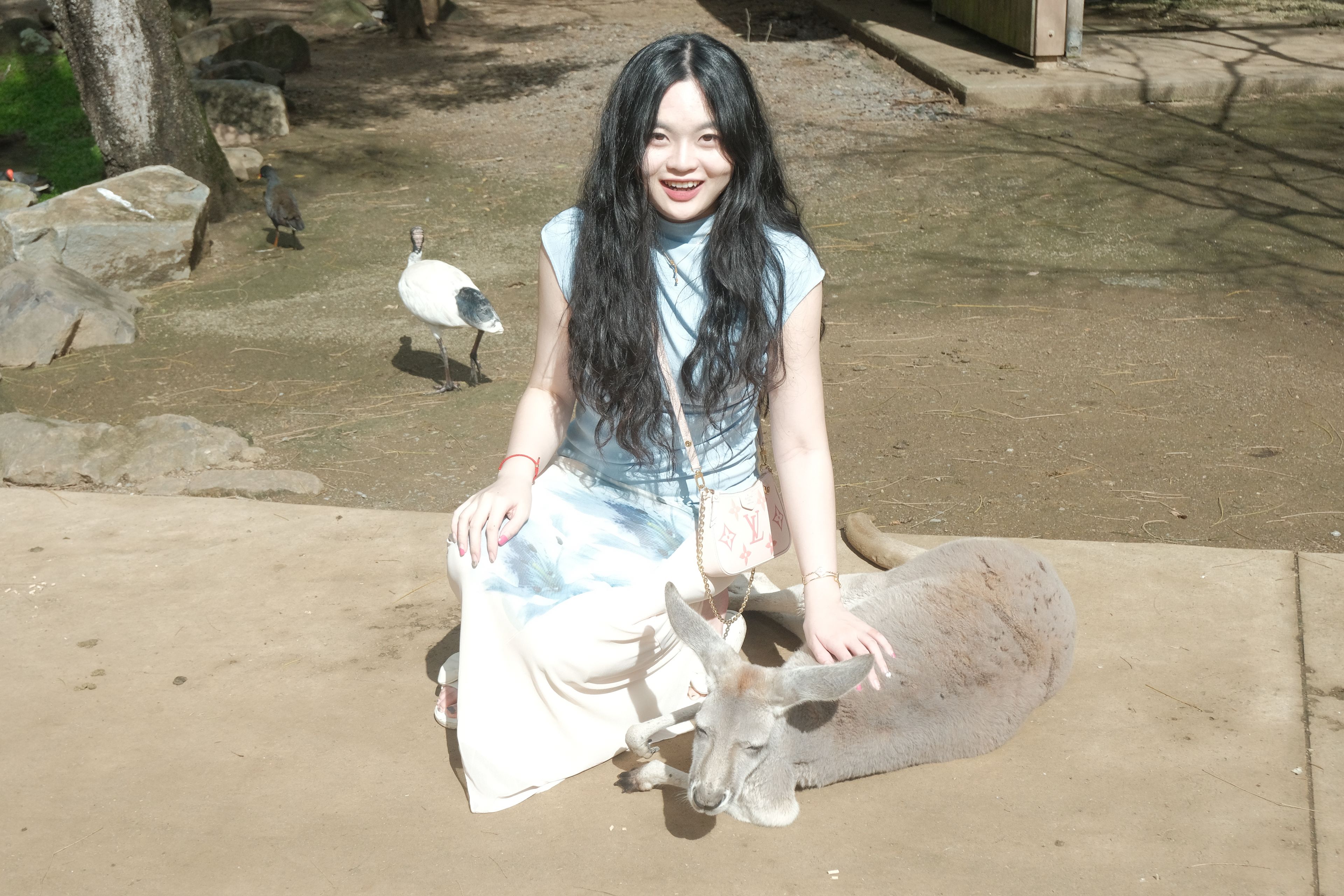 image-7