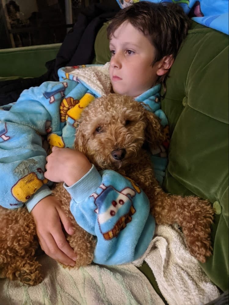 image-6