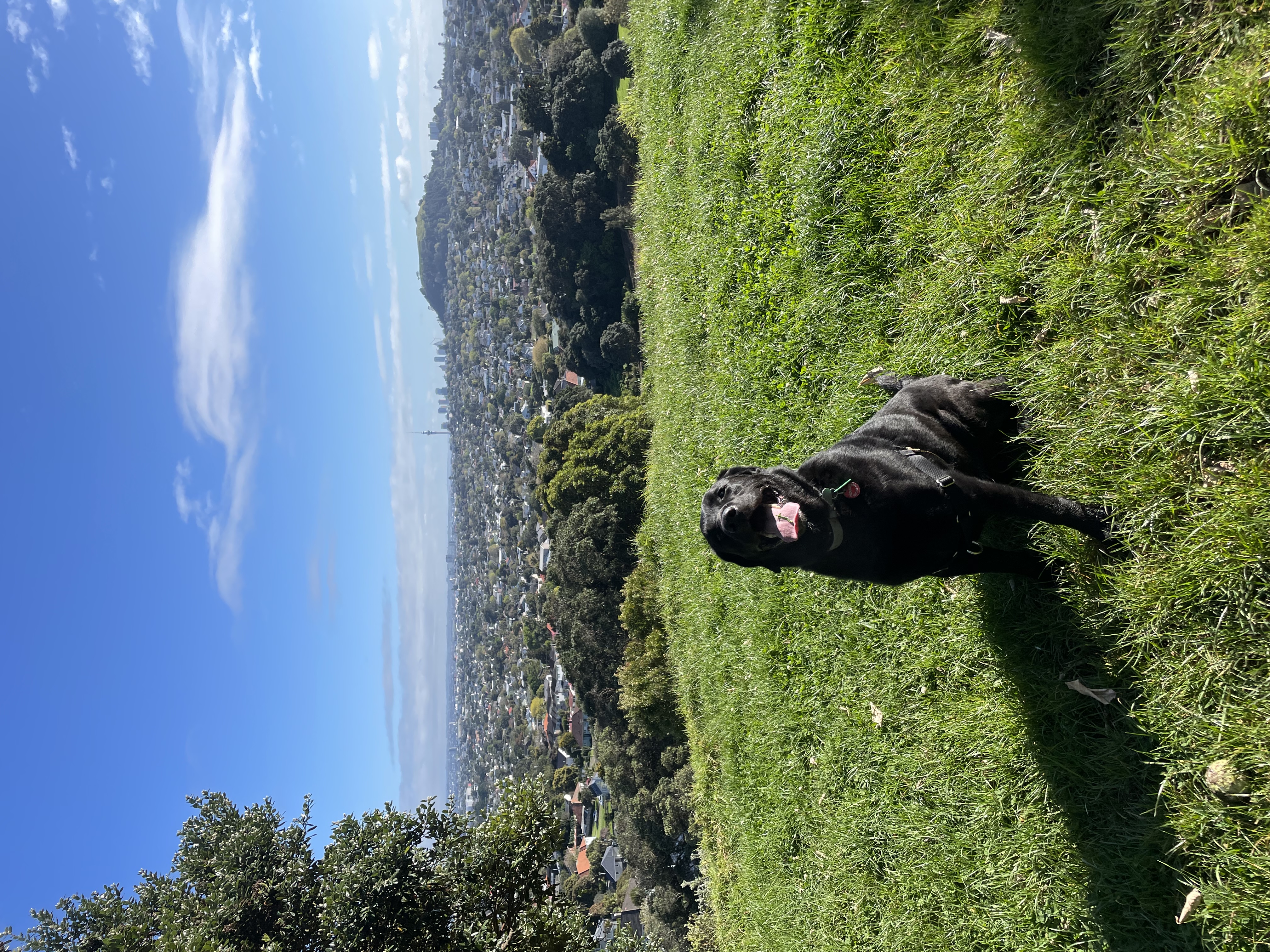 image-6