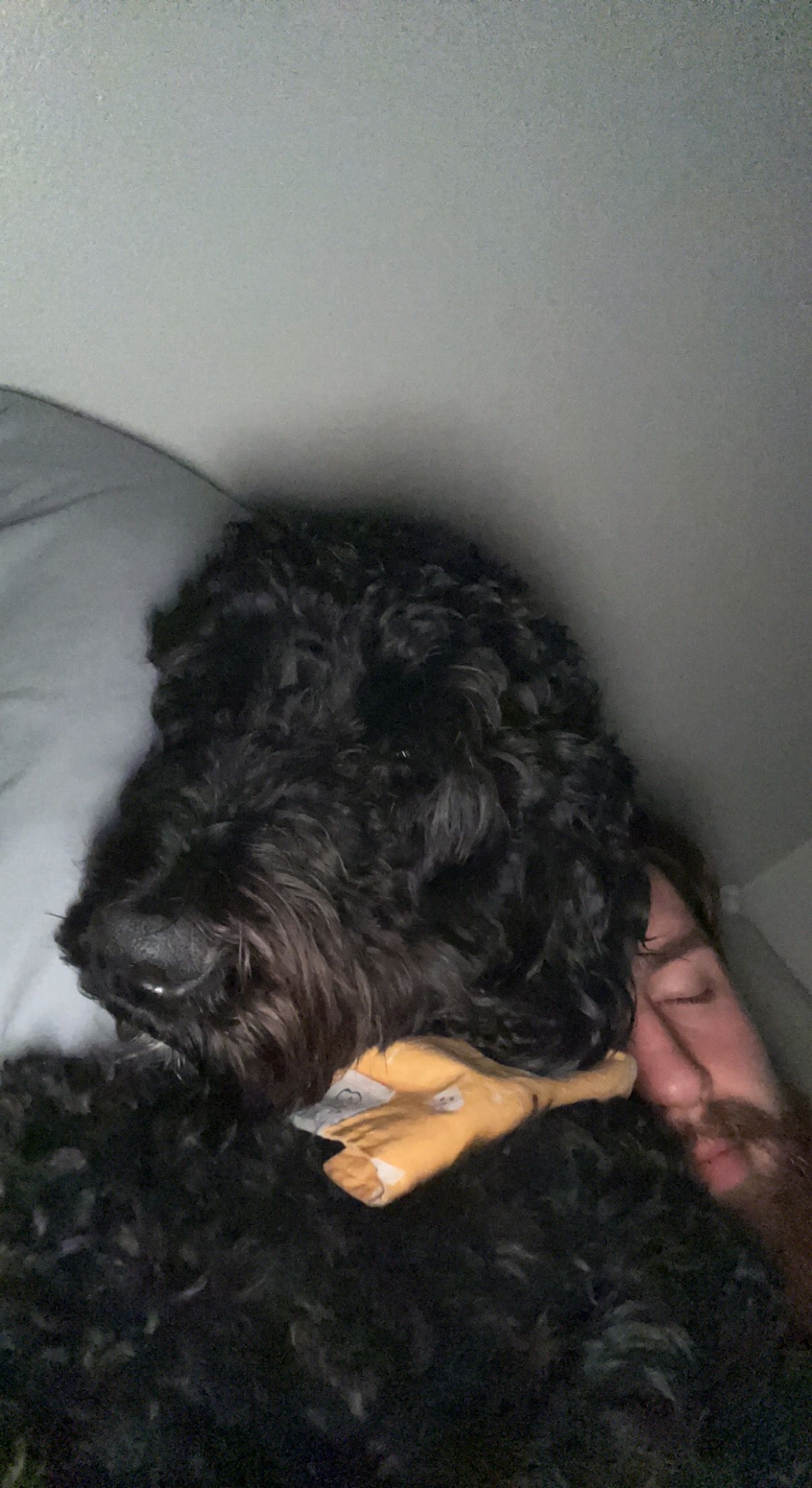 image-8