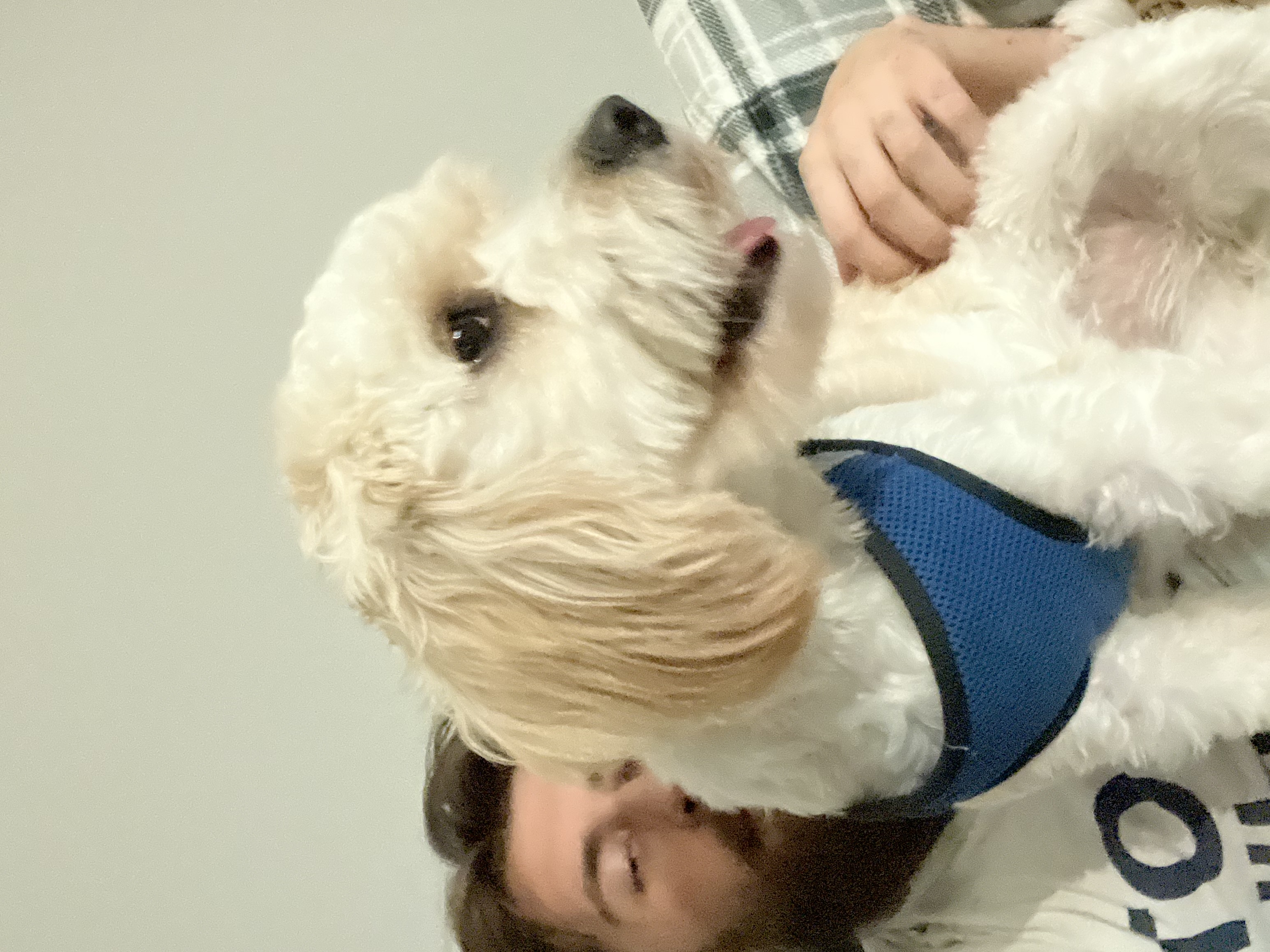 image-3