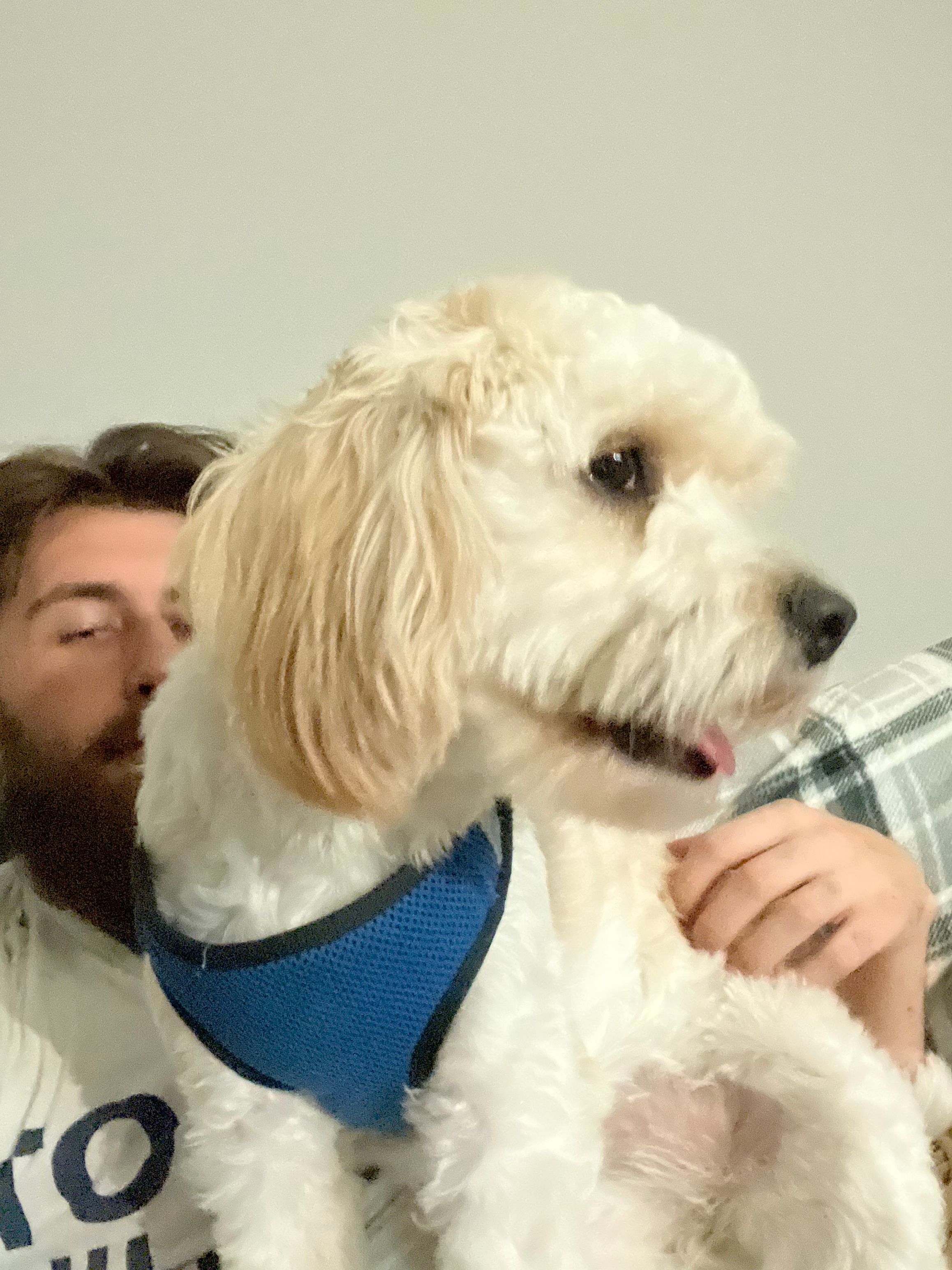 image-3