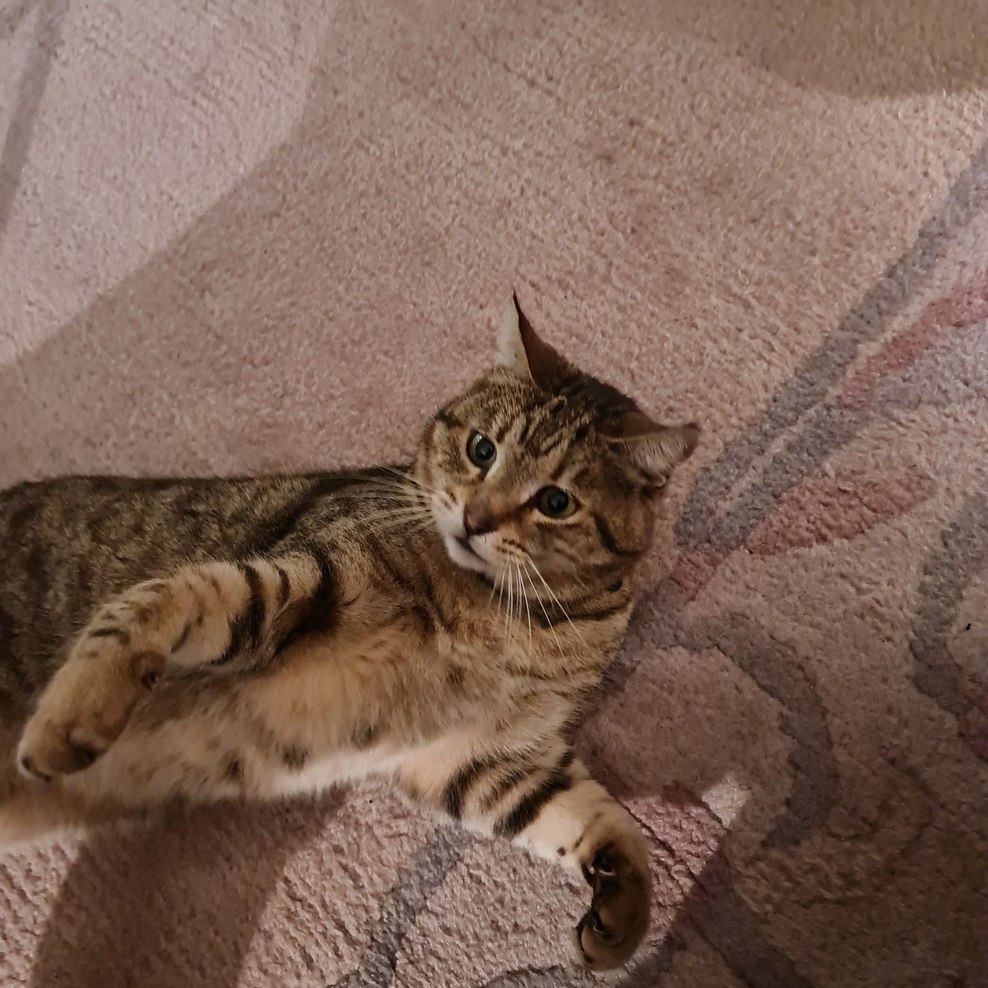 Thomas