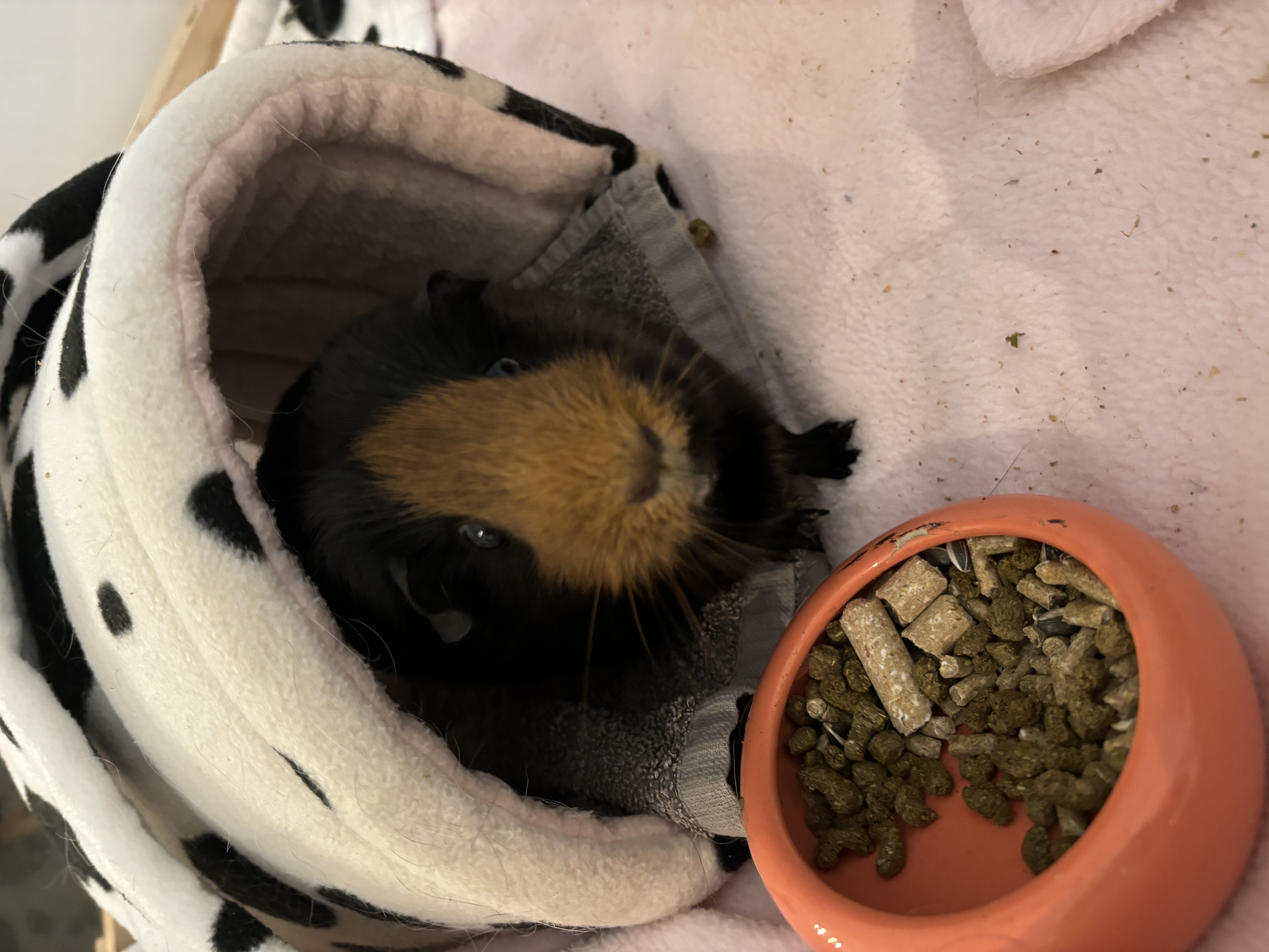 image-16