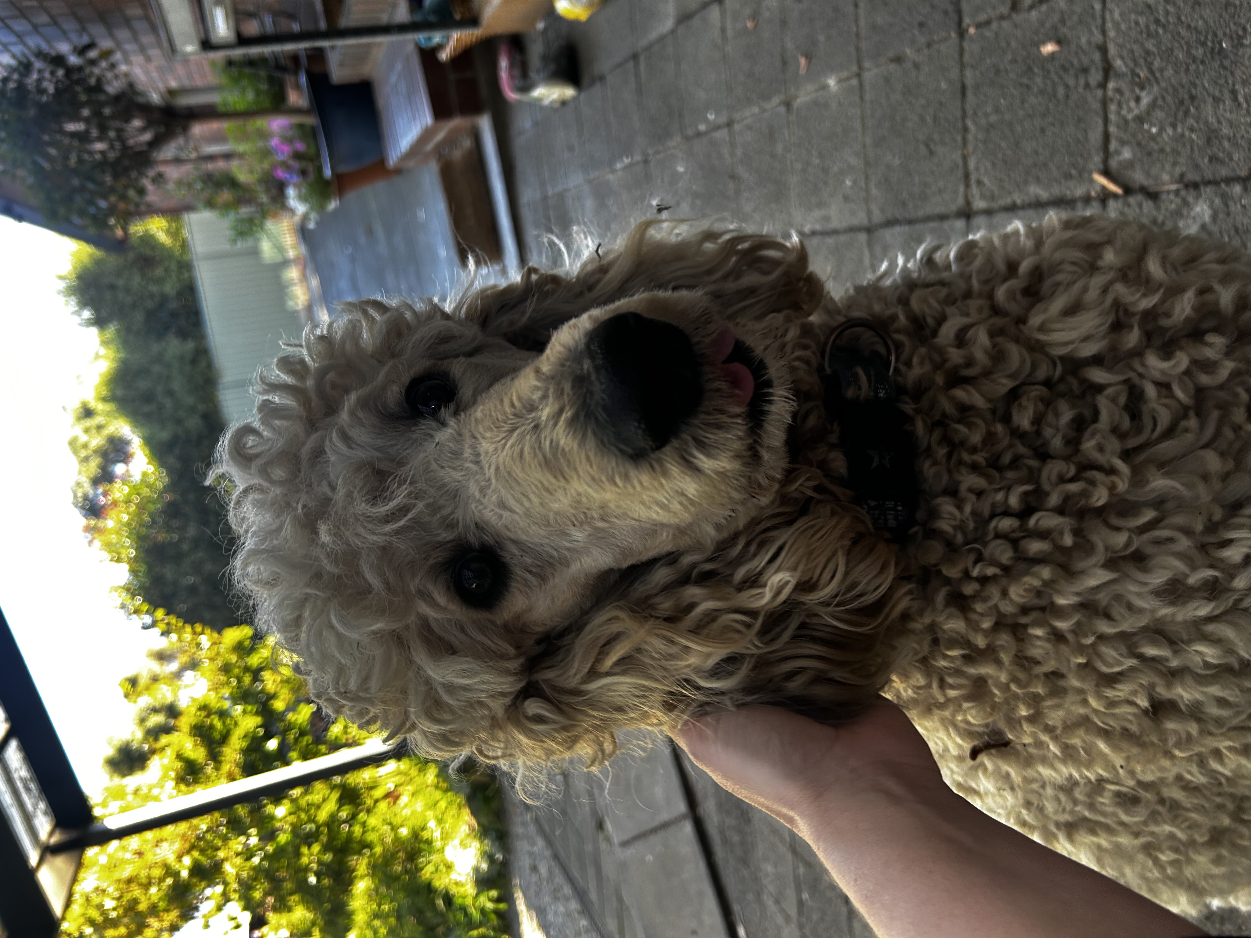 image-15