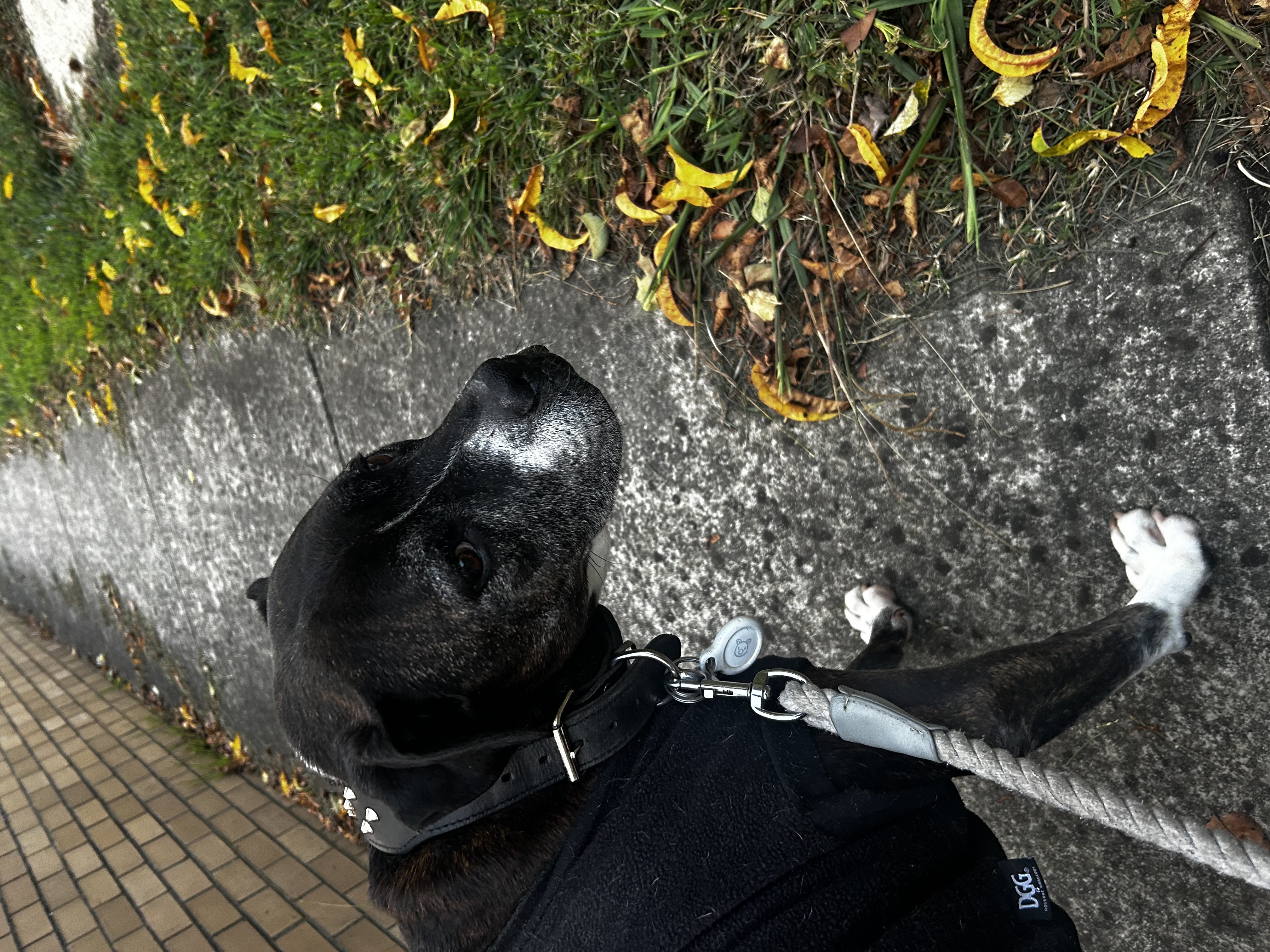 image-13