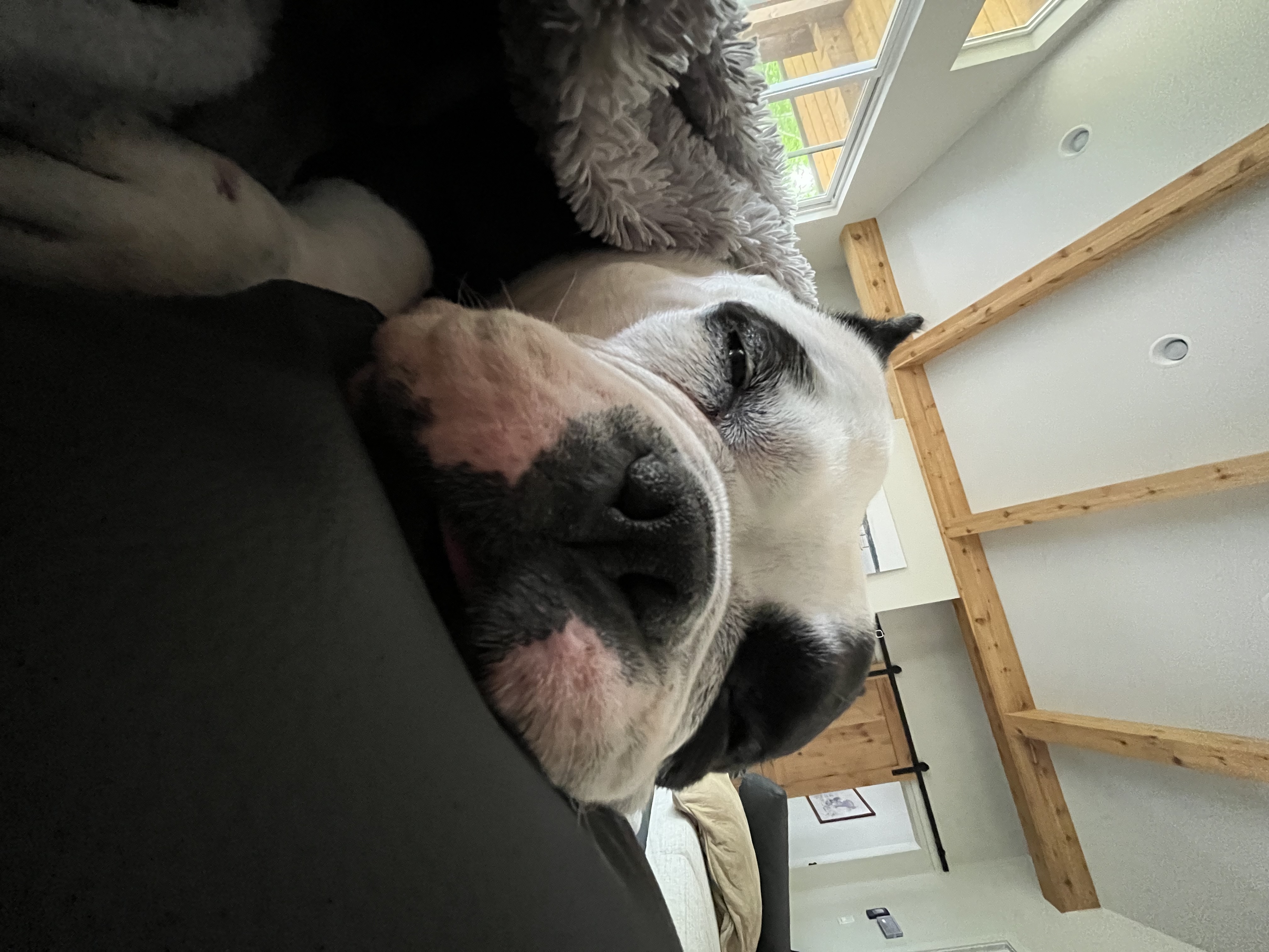 image-7