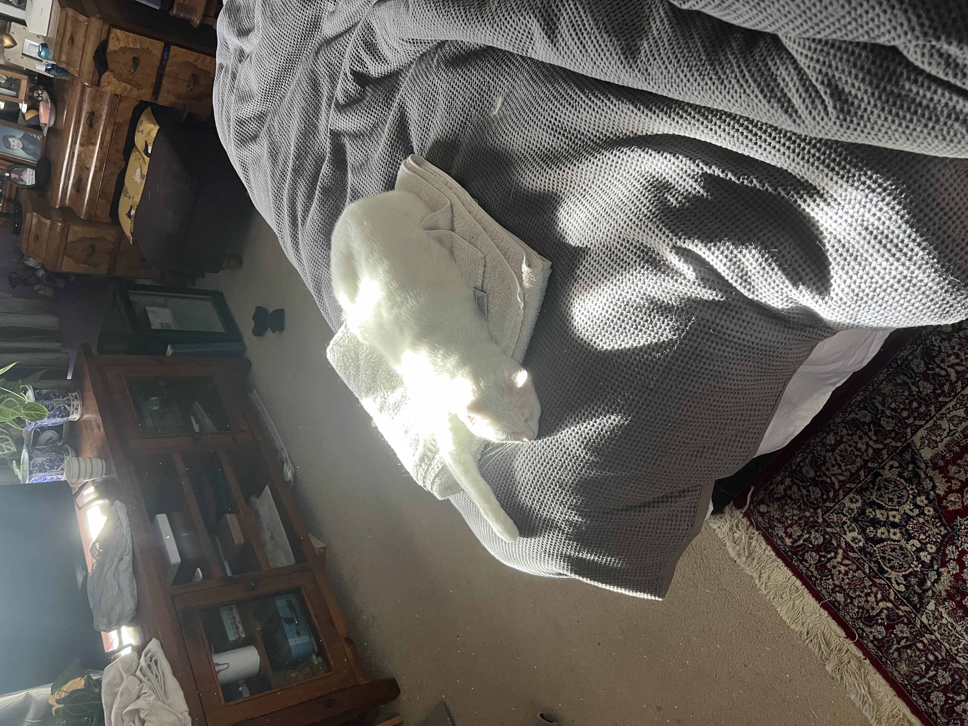 image-6