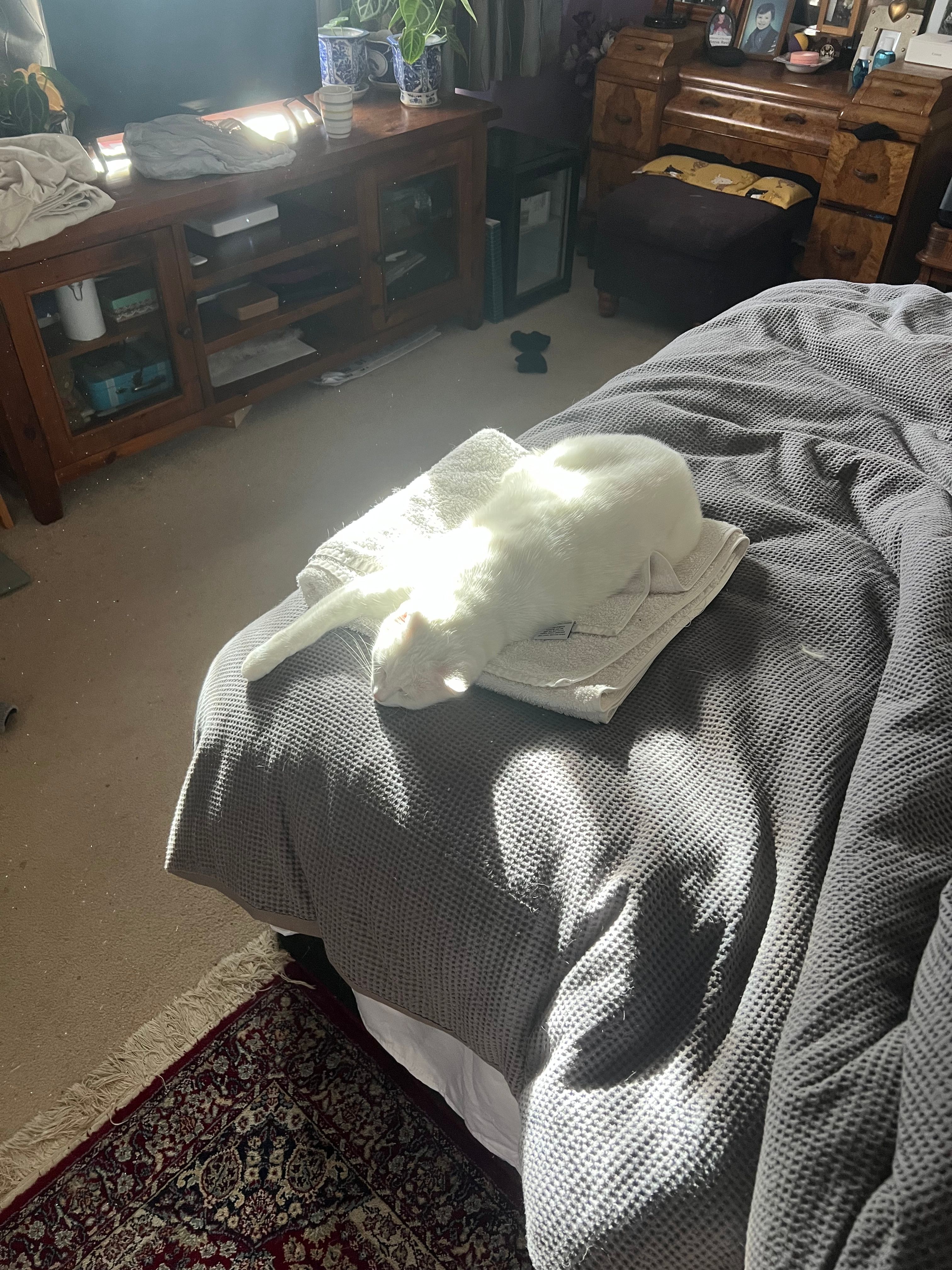 image-6