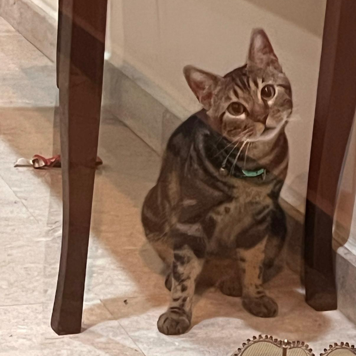 Tina