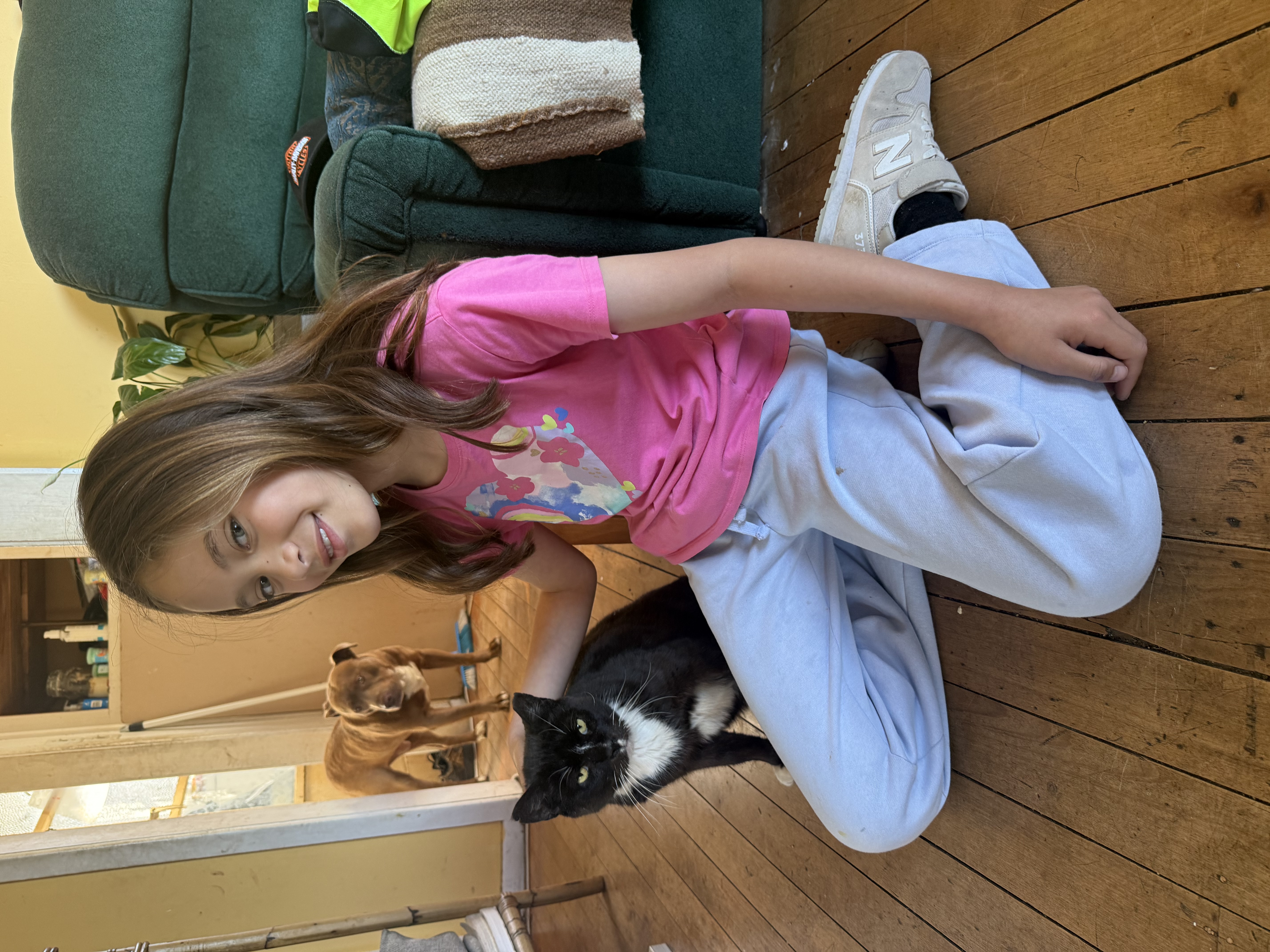 image-11