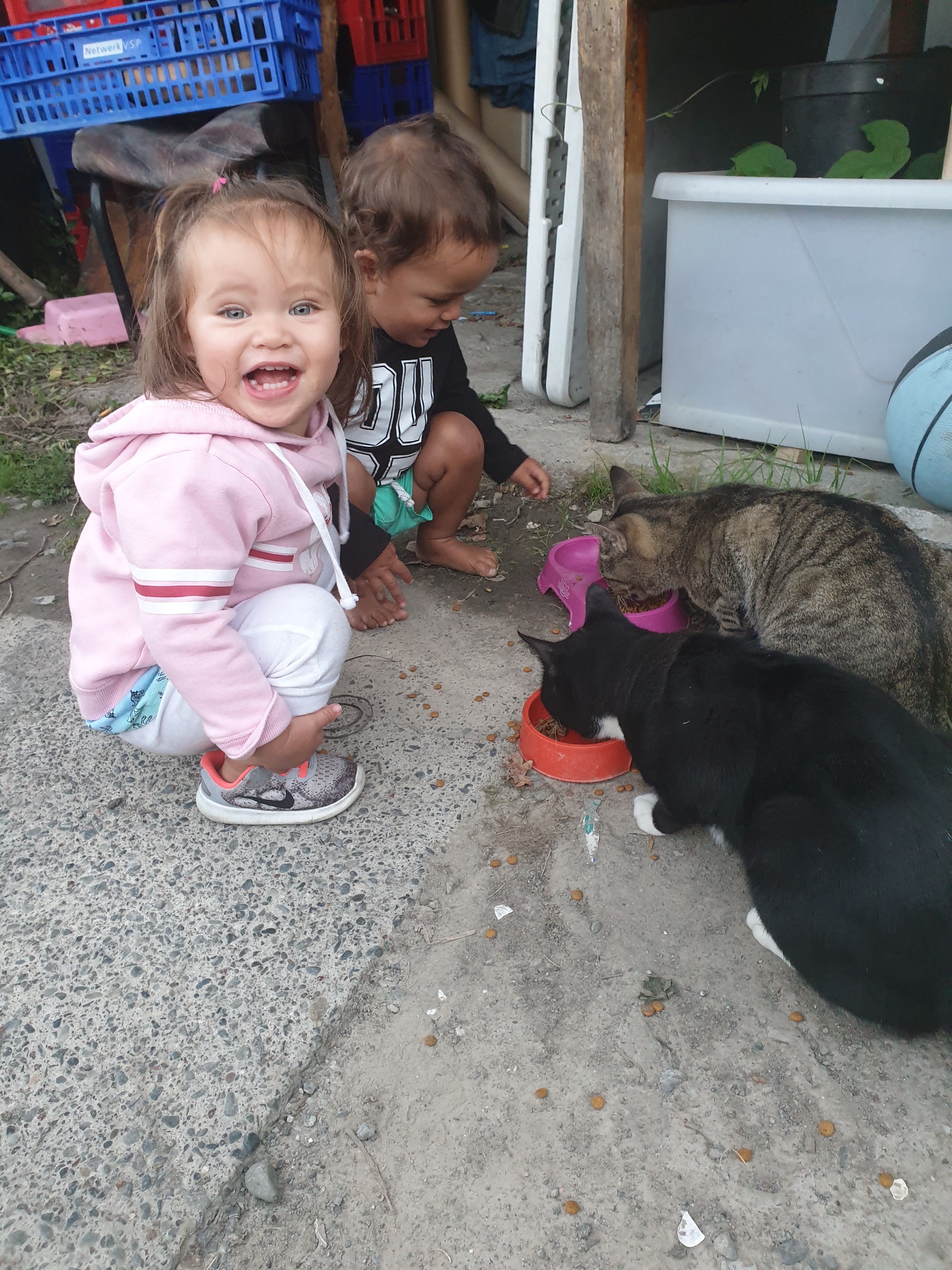 image-6
