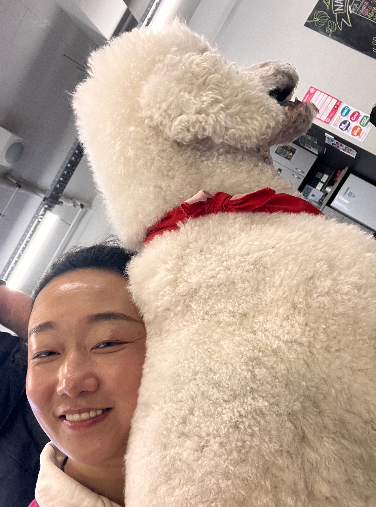 image-6