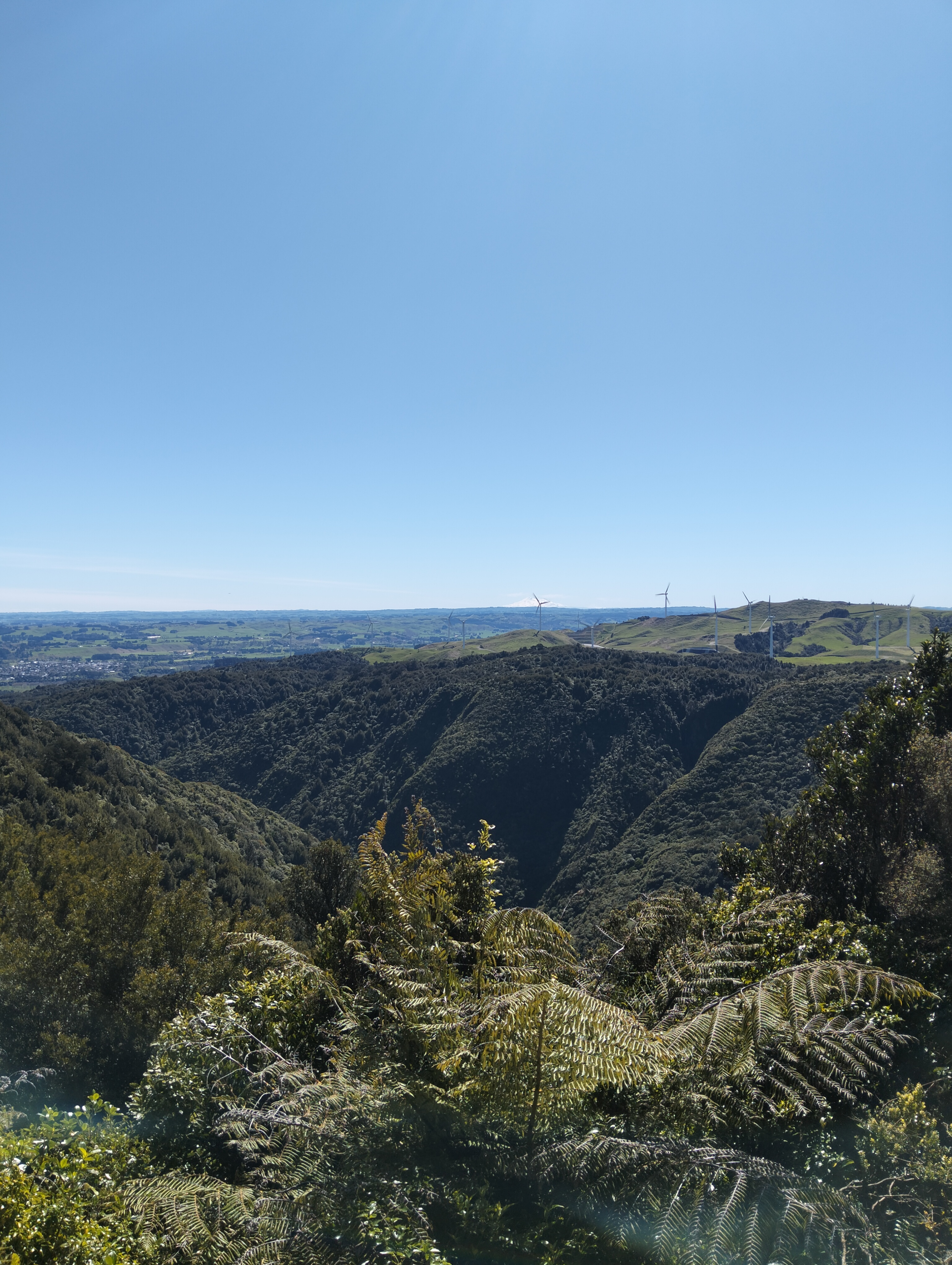 image-3