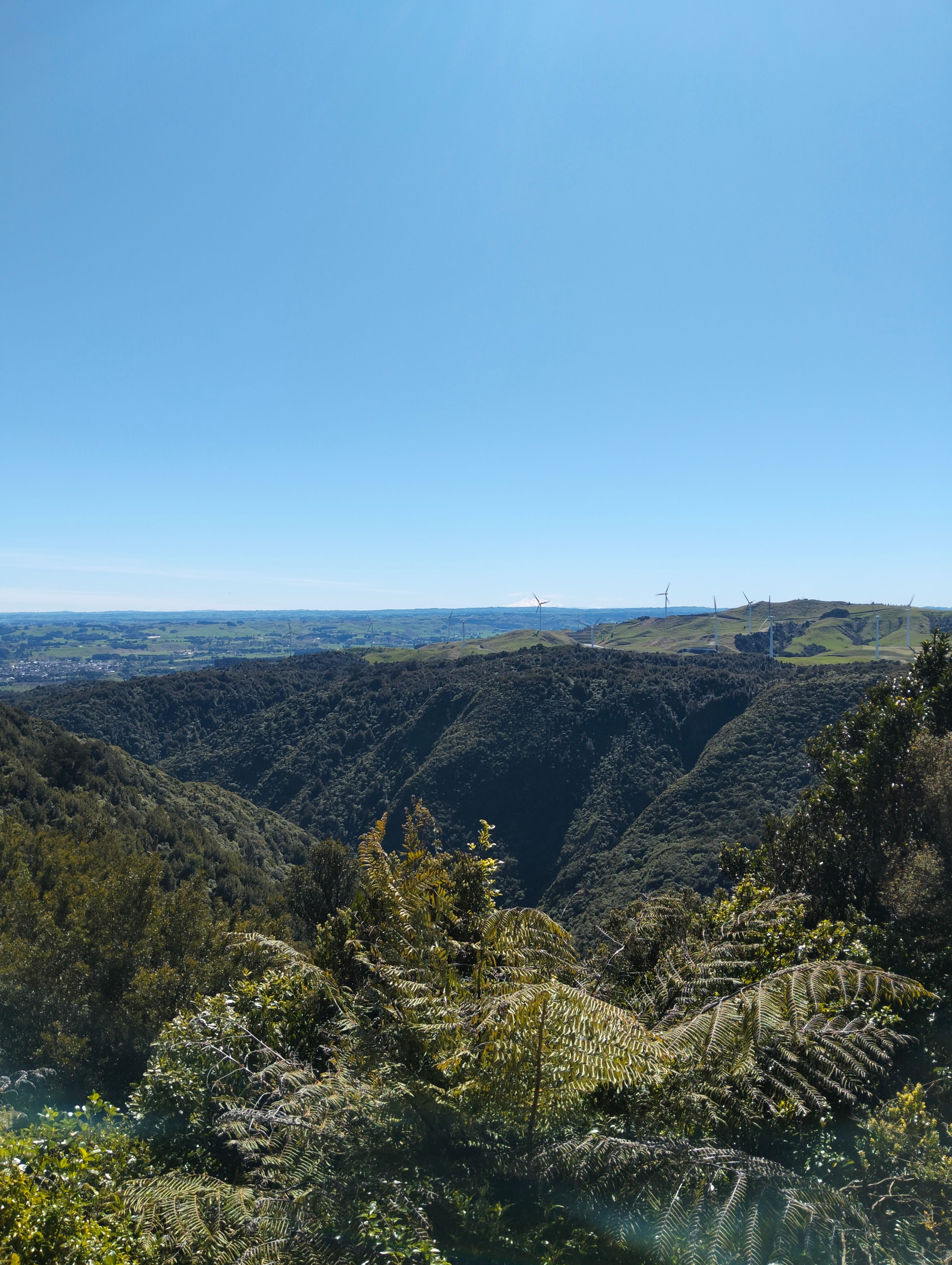 image-3
