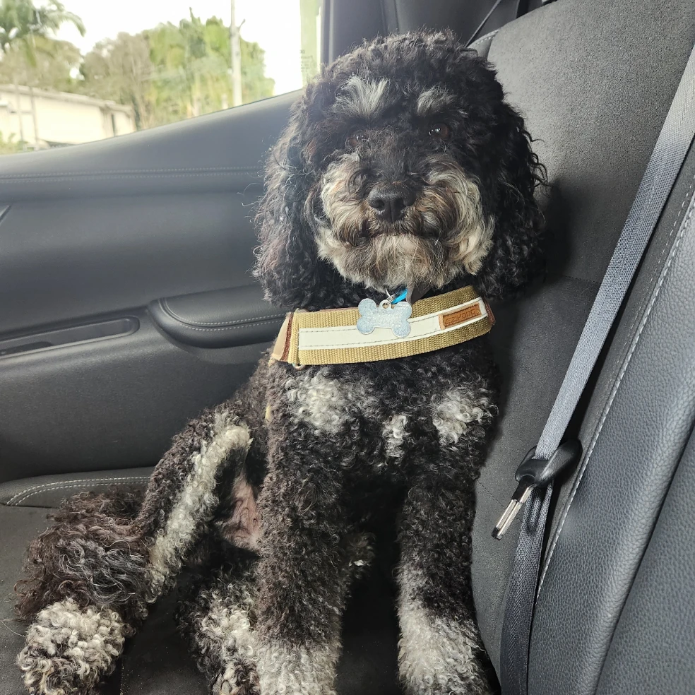 Ralphie