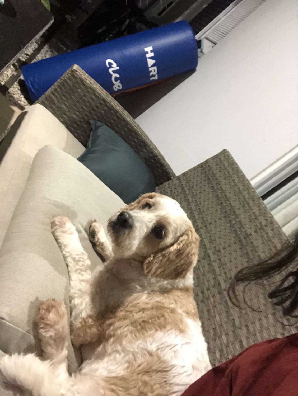 image-6