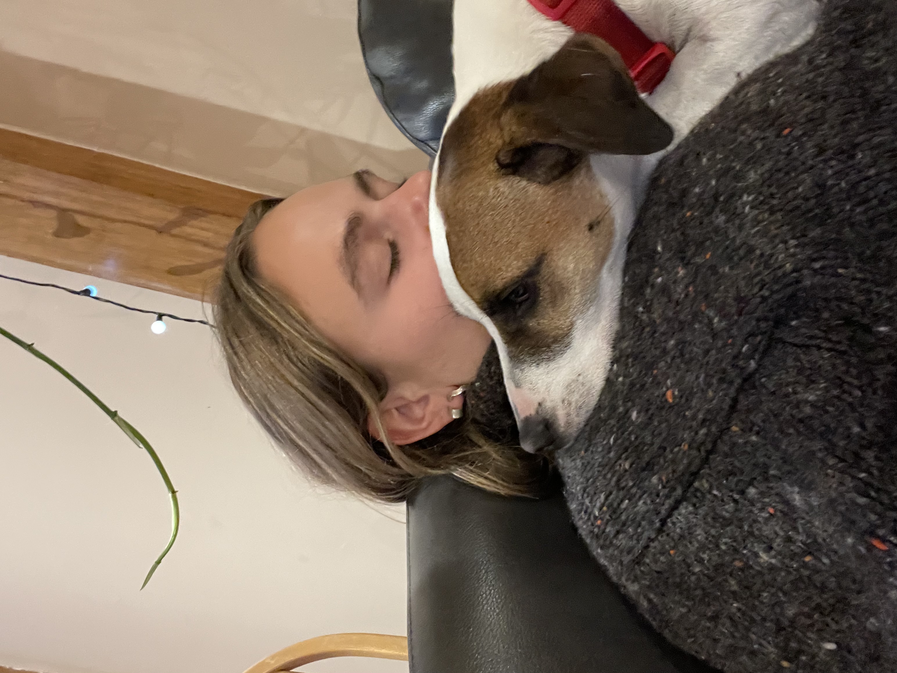 image-8