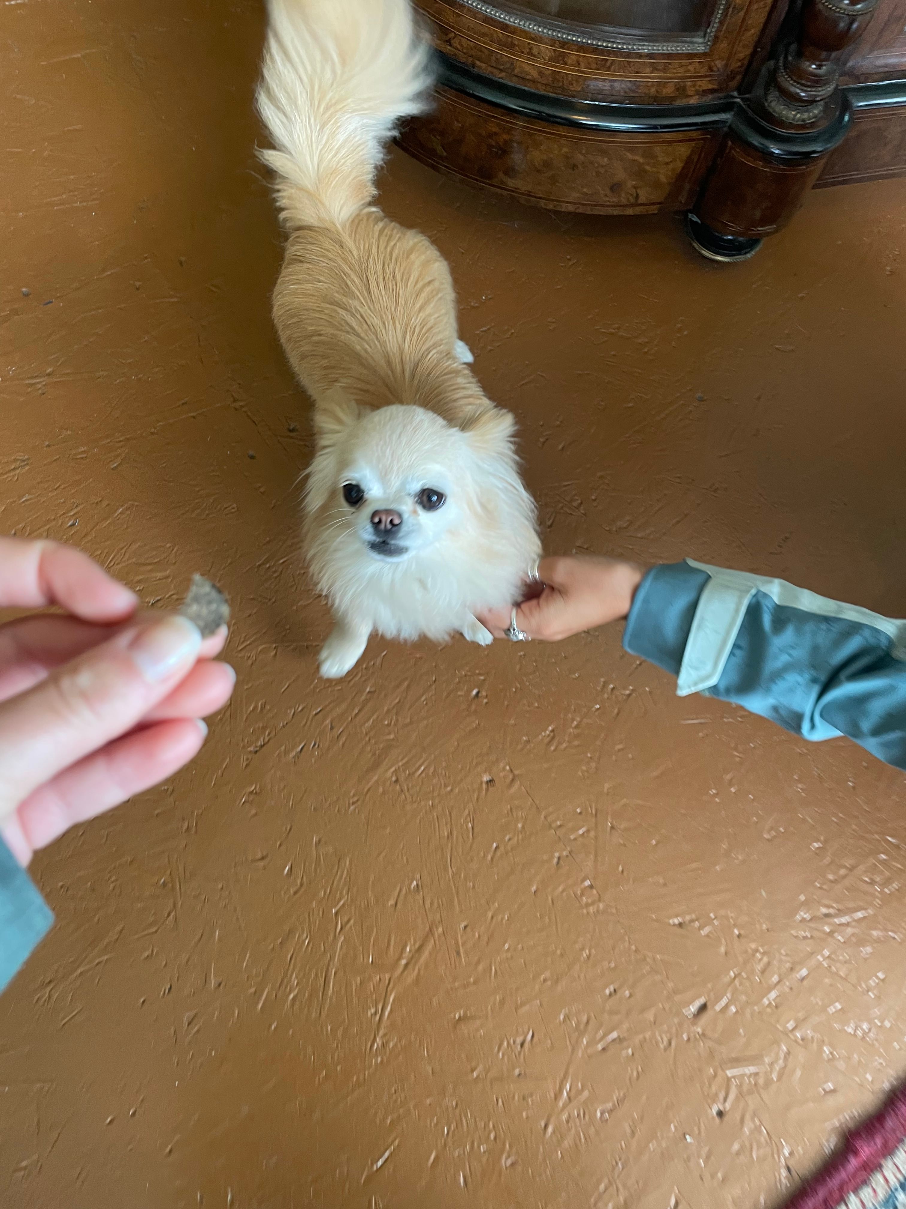 image-10