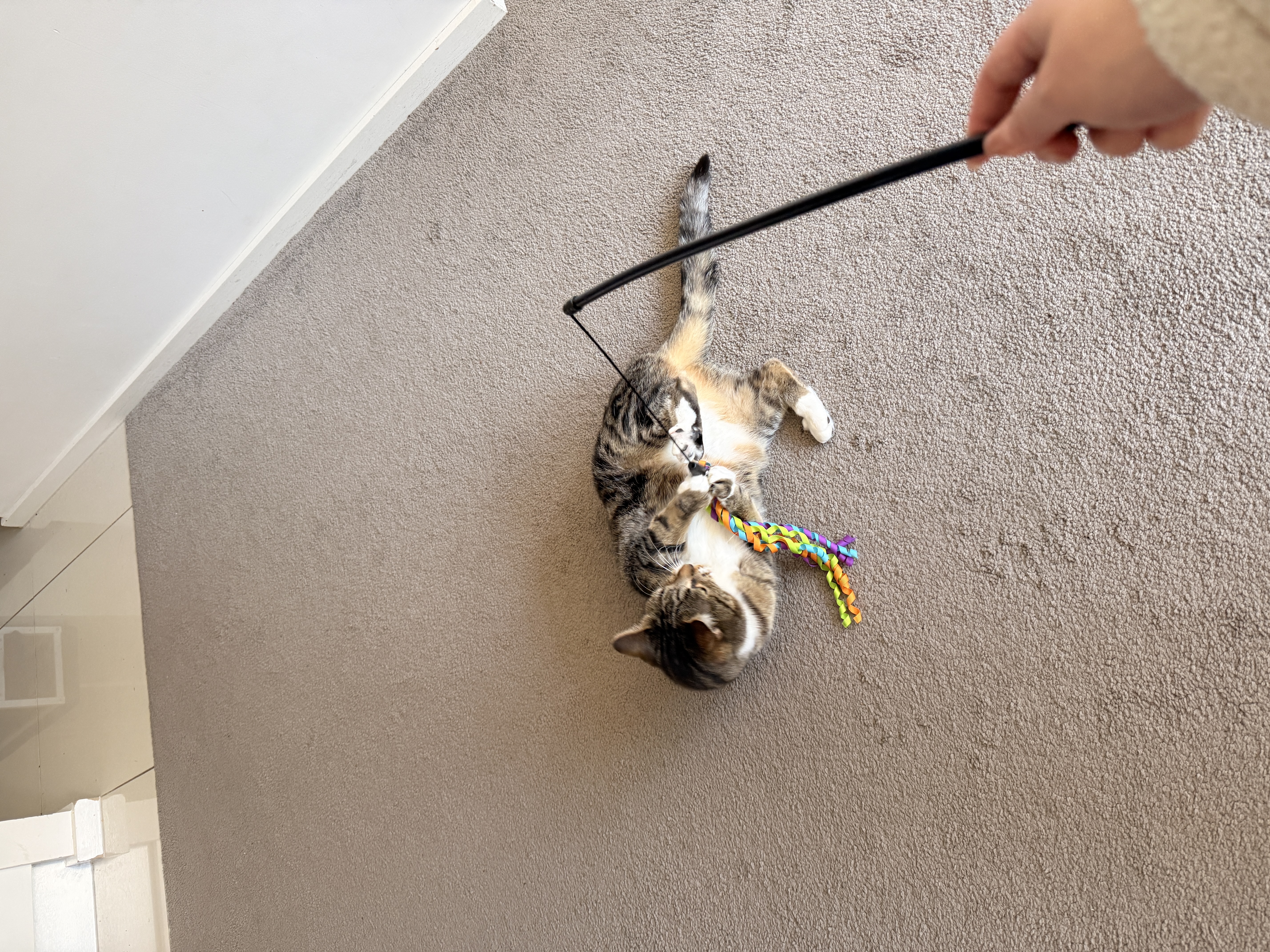 image-16