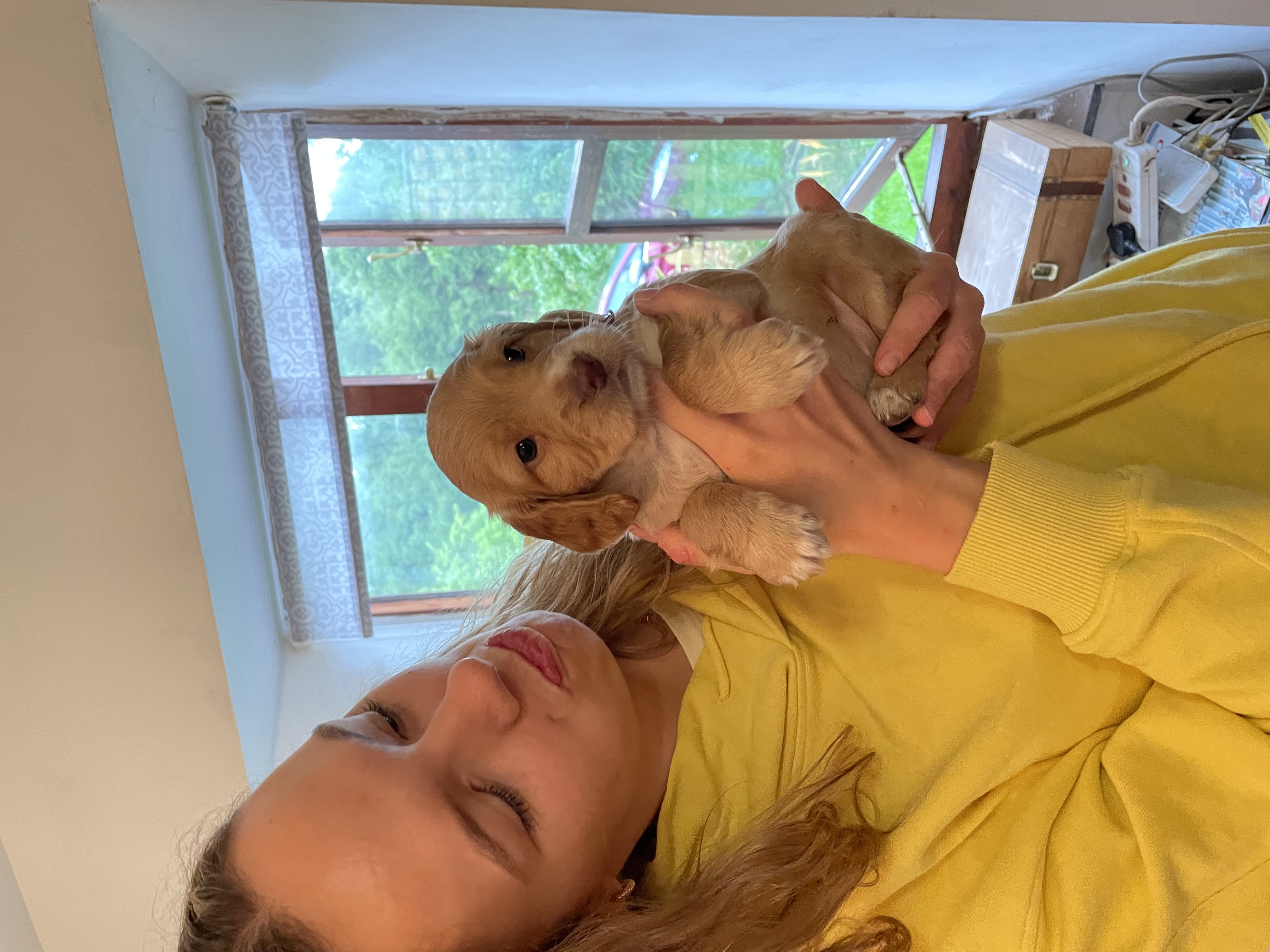 image-6