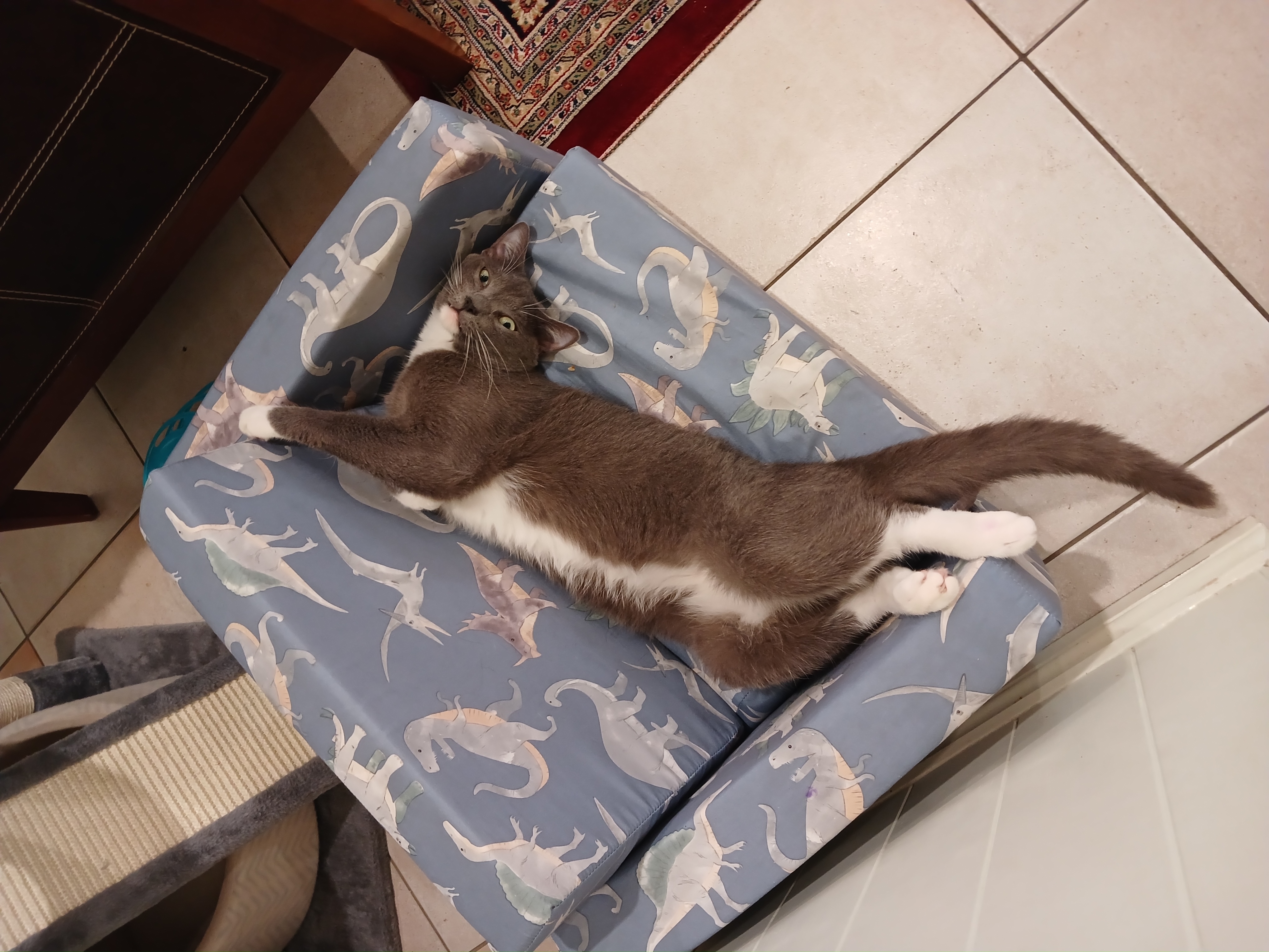image-12