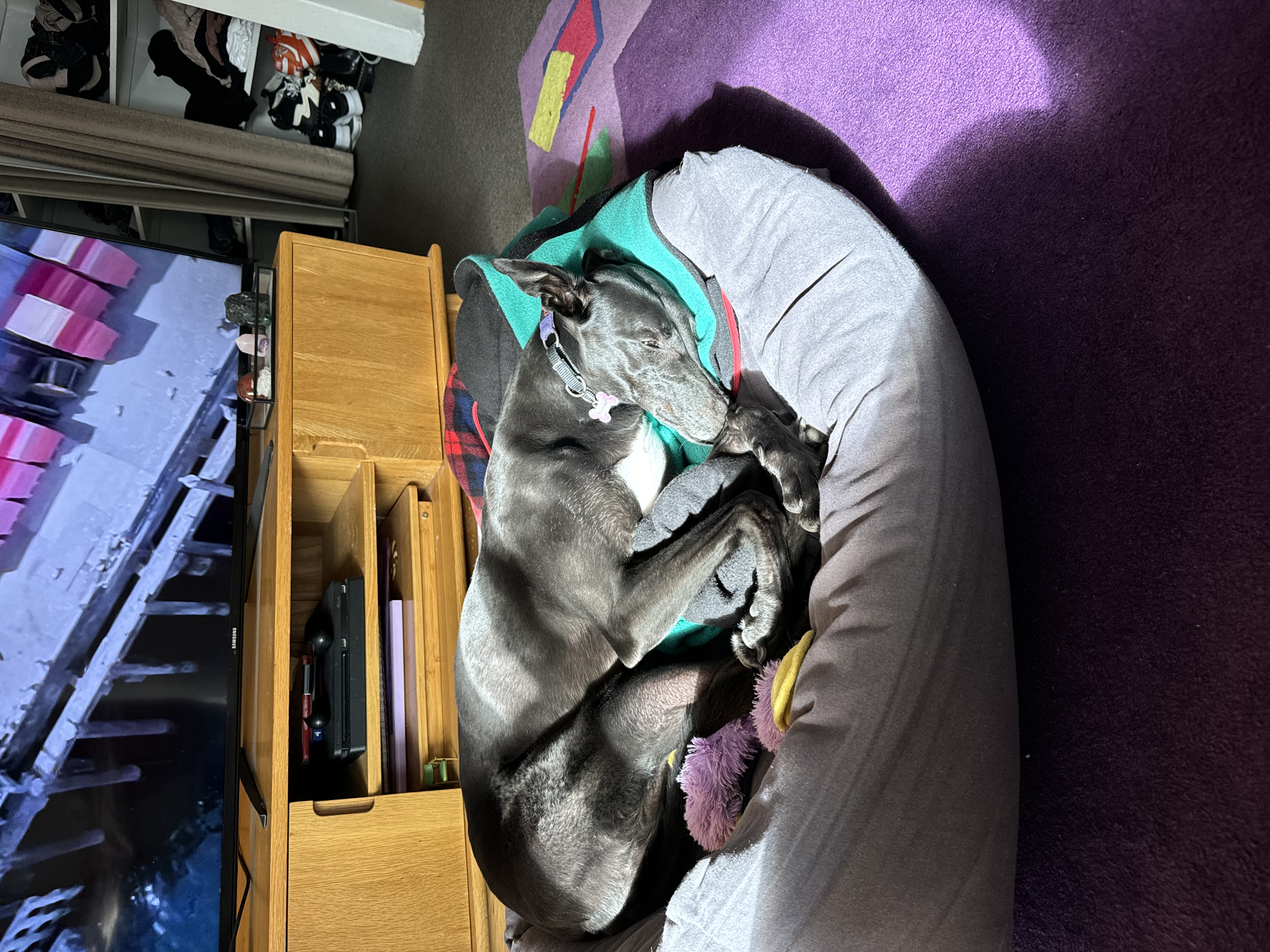 image-5