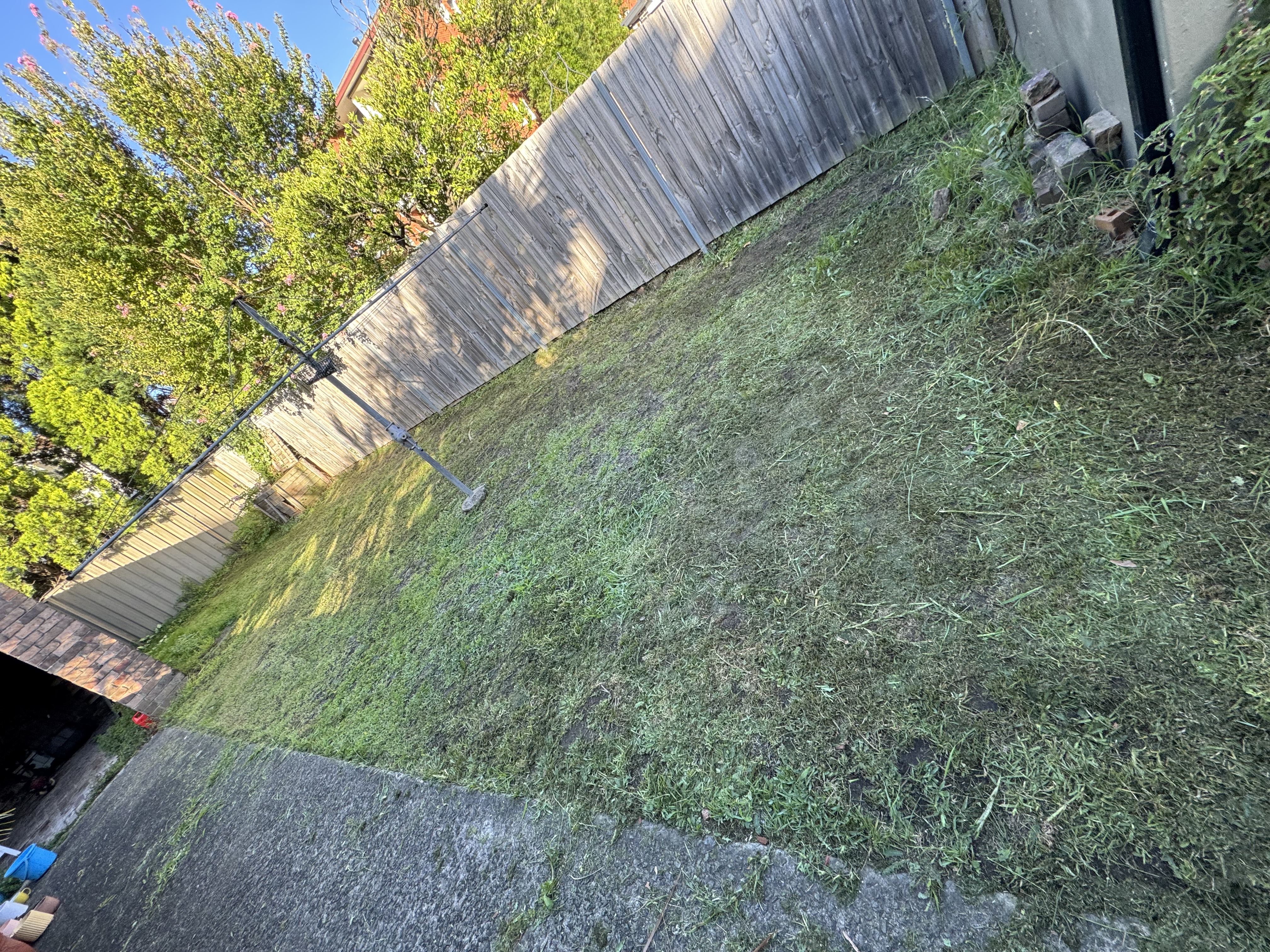 image-8