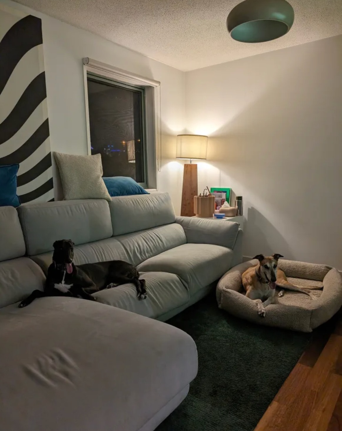 image-12