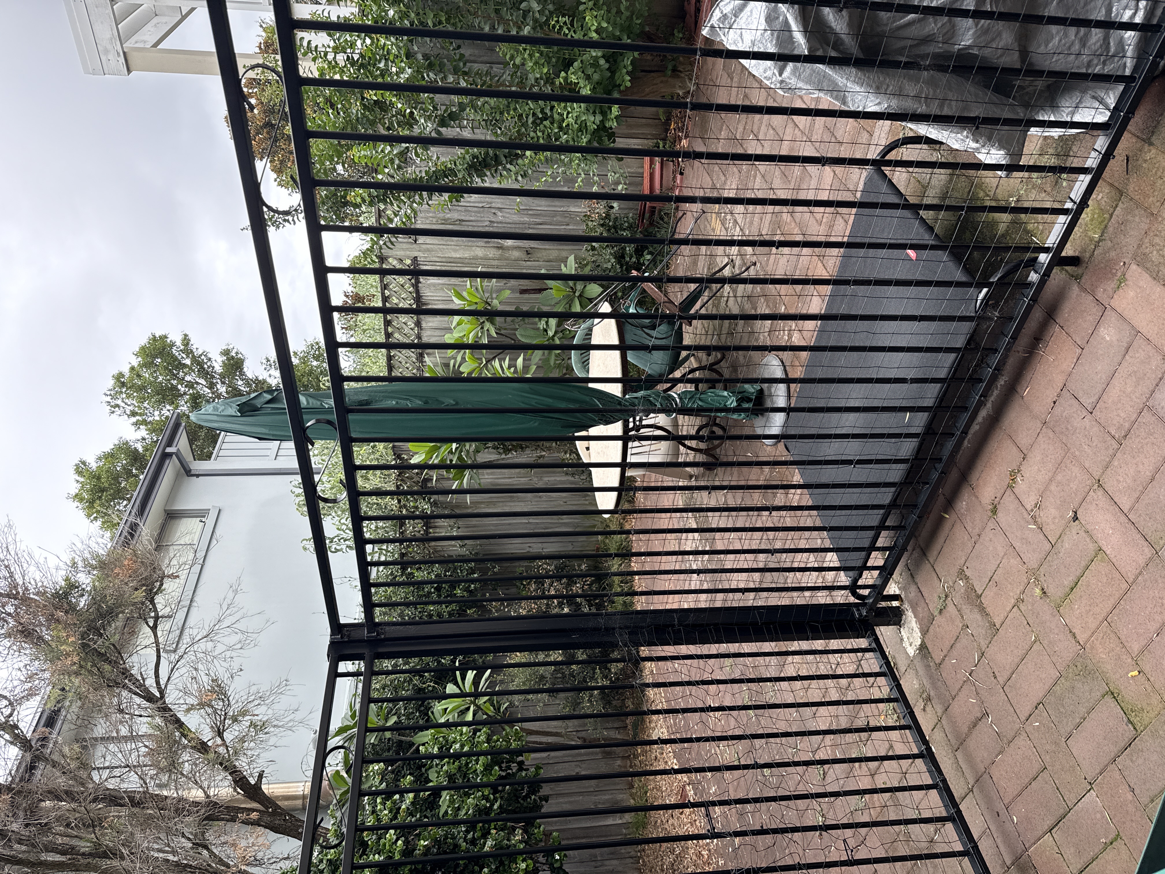 image-7