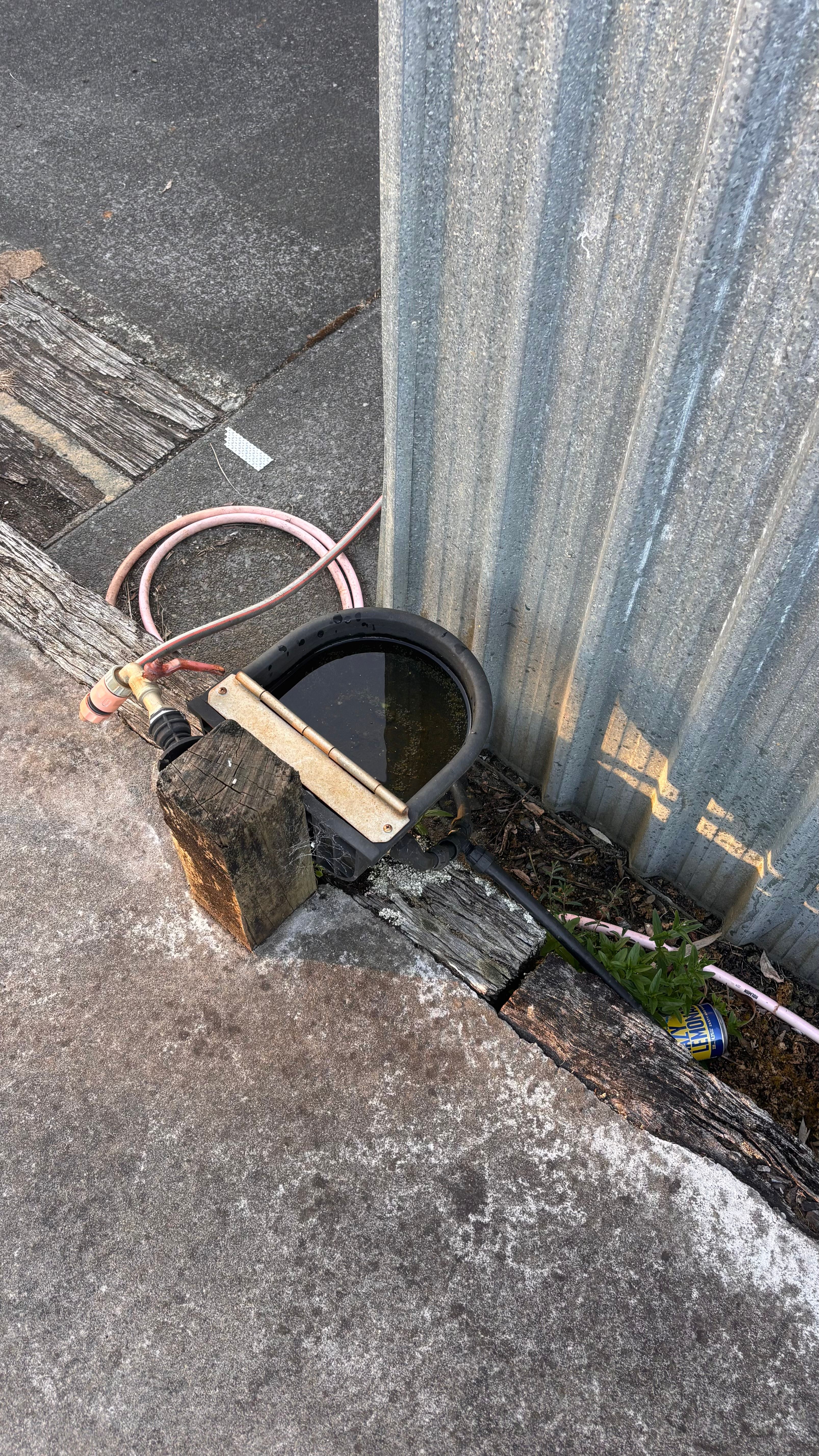 image-18