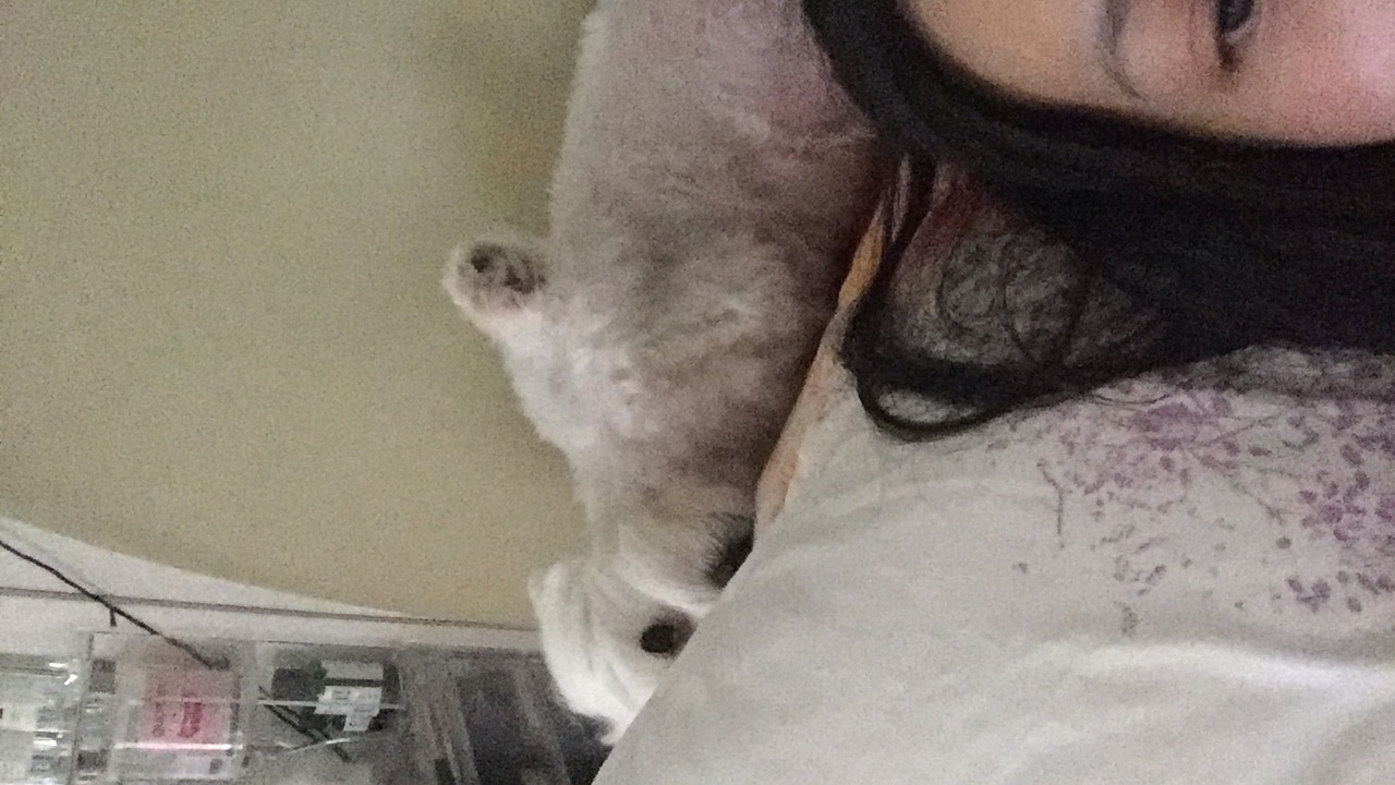 image-8