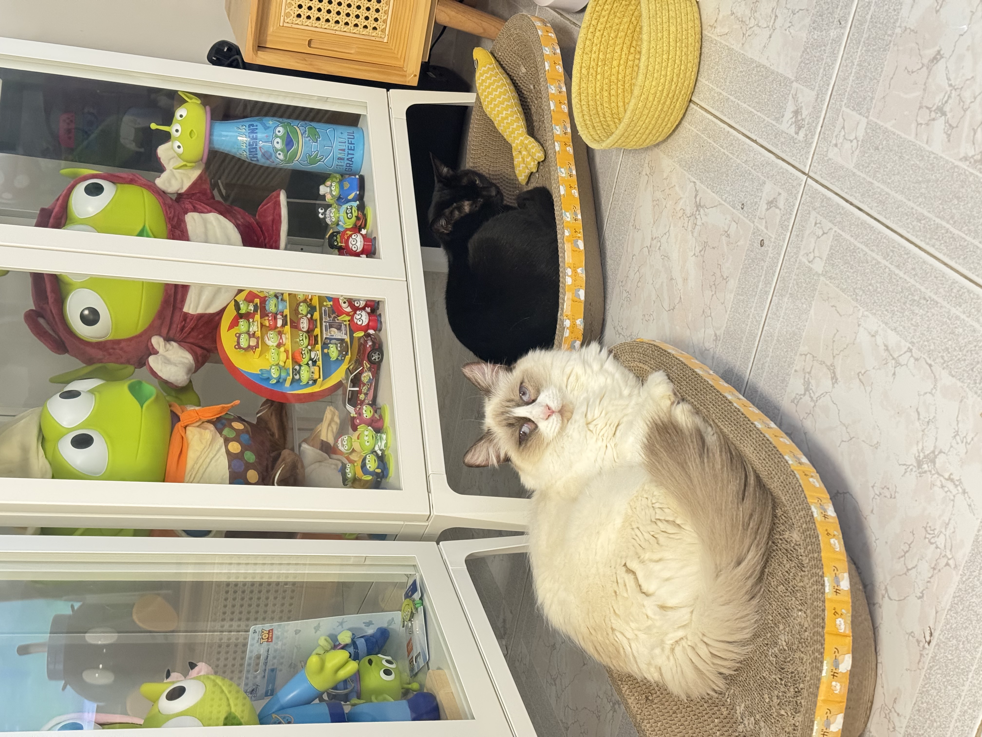 image-5