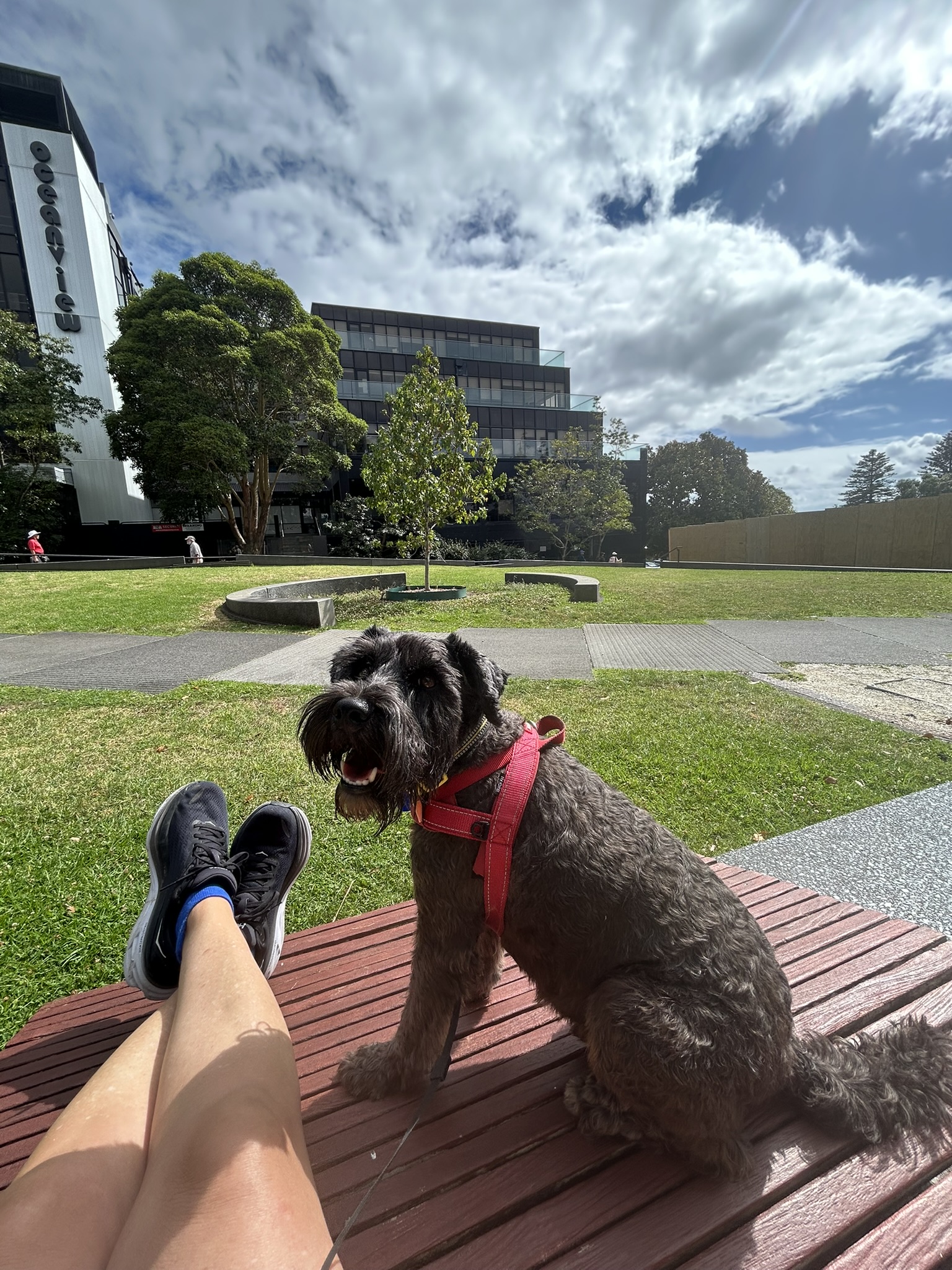 image-6