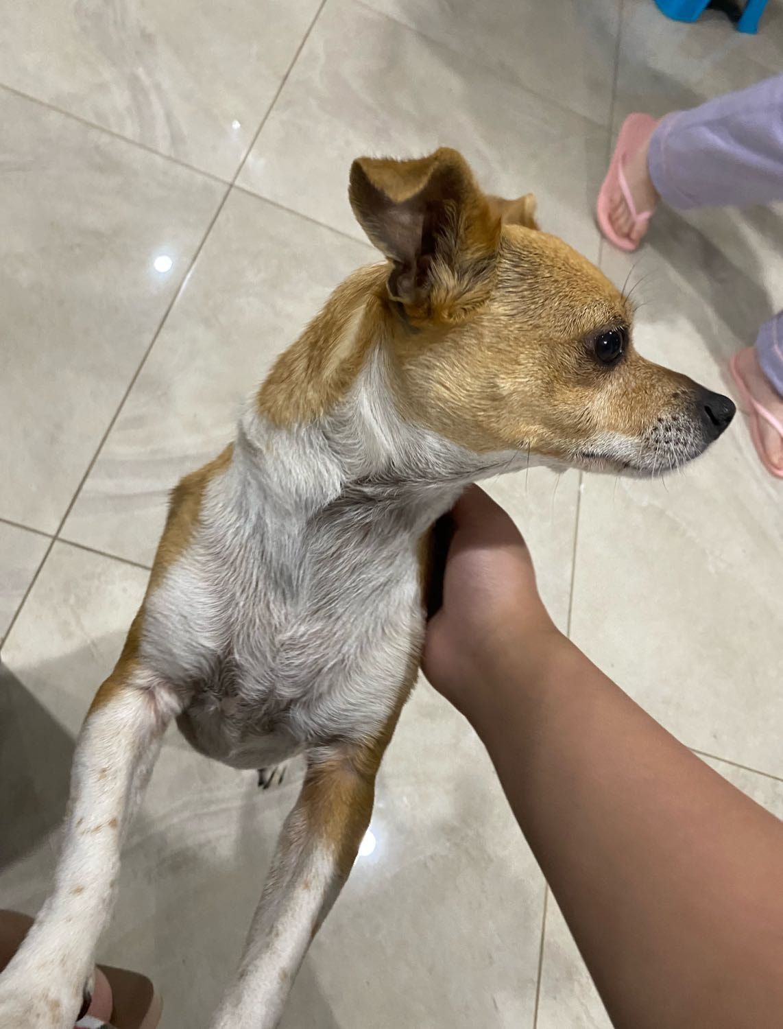 image-7