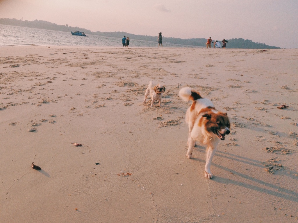 image-7