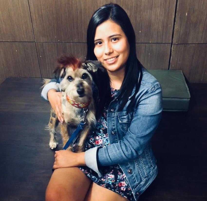 image-6