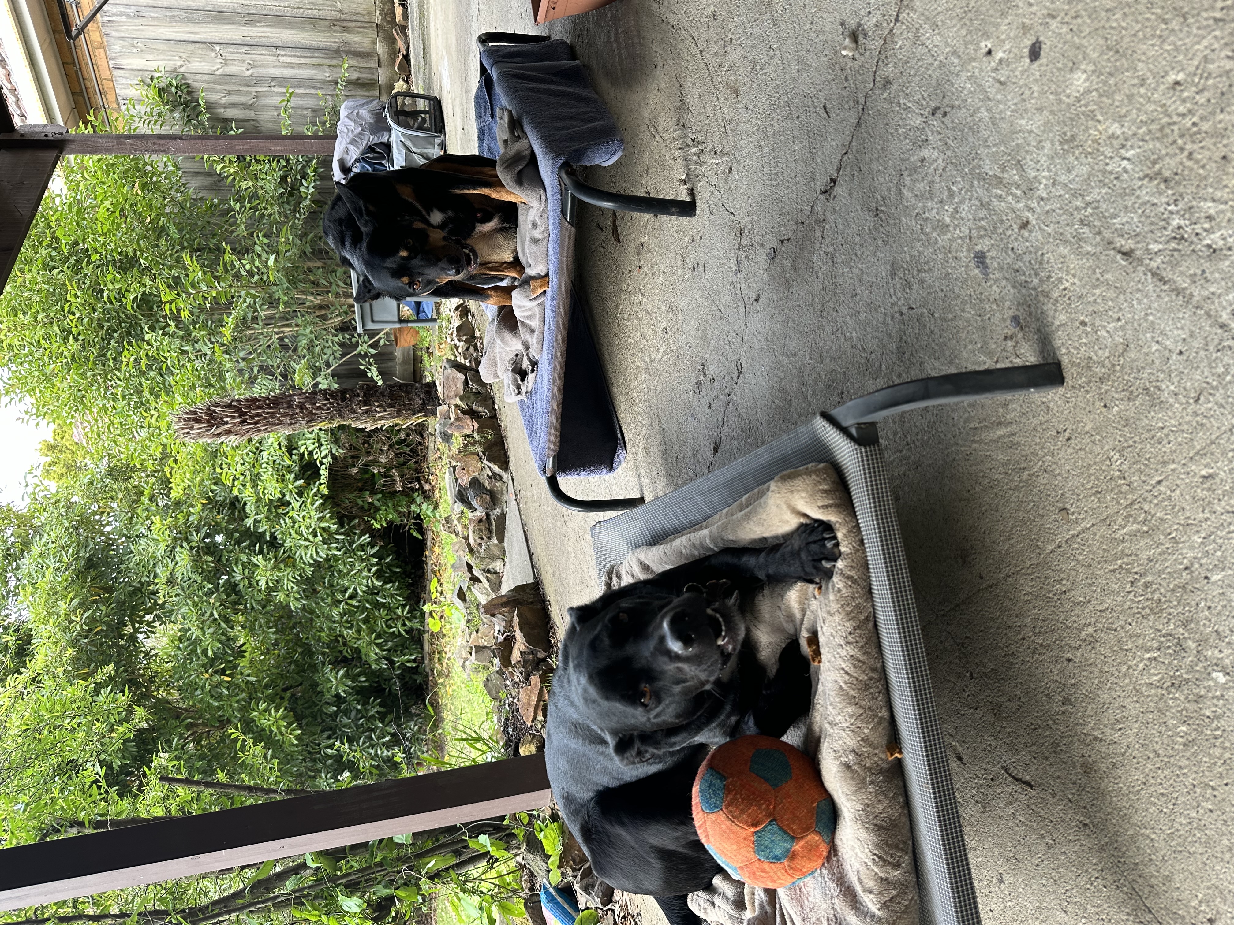 image-38